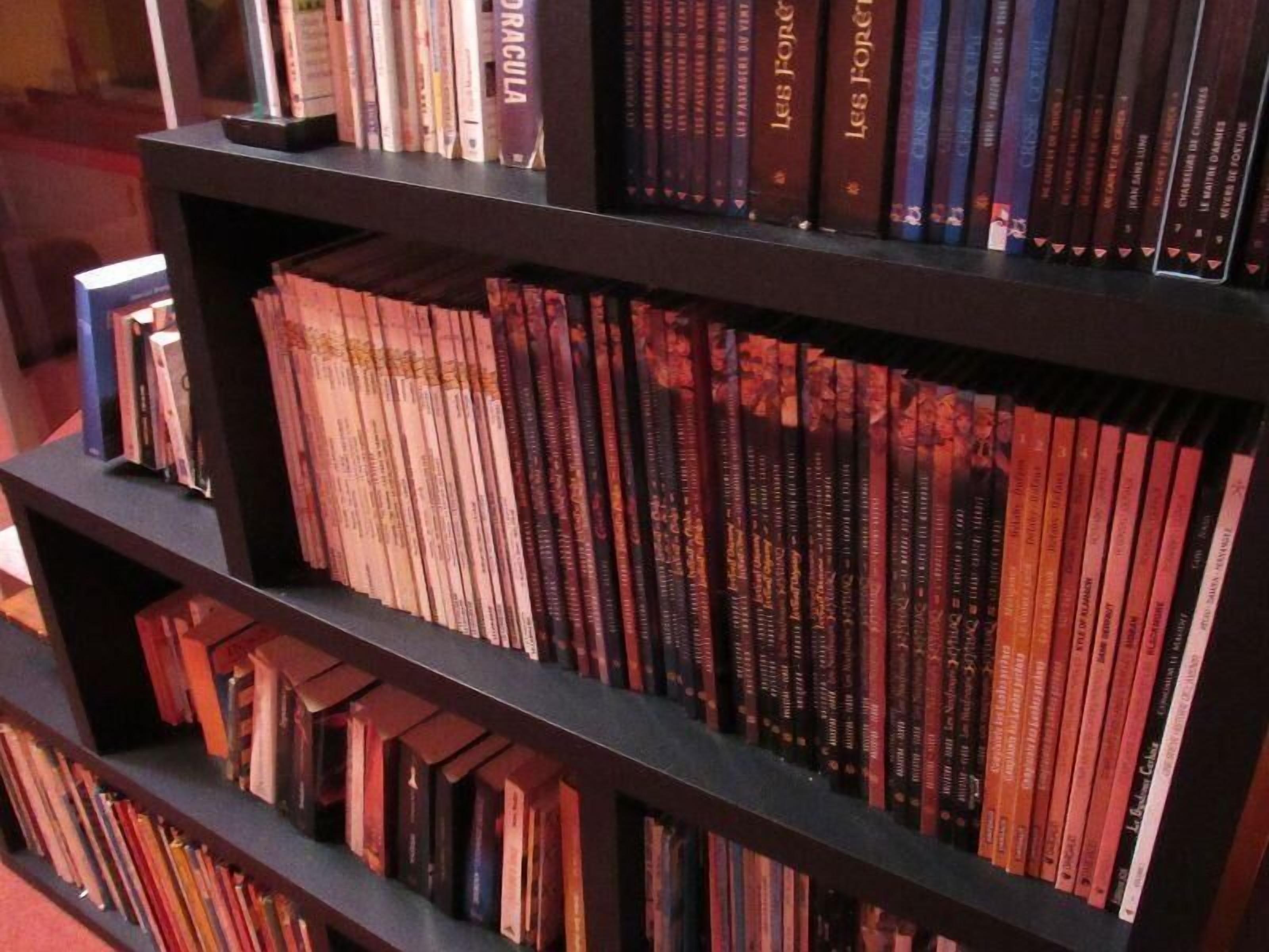 A bookshelf with a variety of books, including some with visible titles.