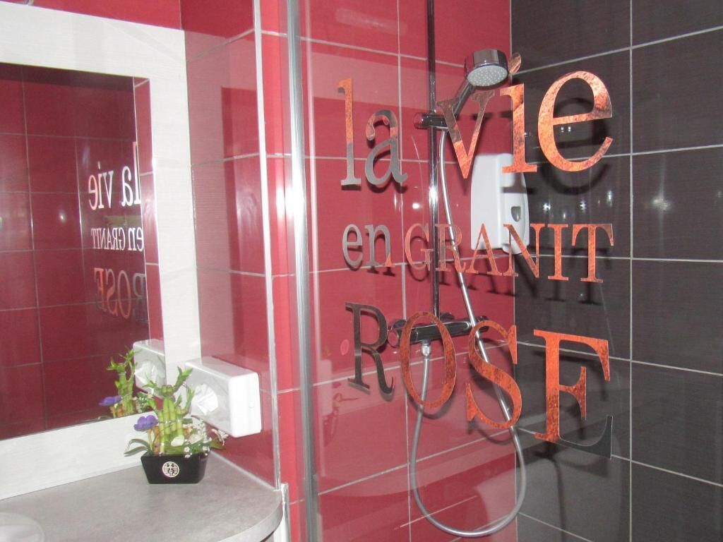 Un baño con pared de azulejos rojos y negros, zona de ducha y una pequeña planta en maceta.