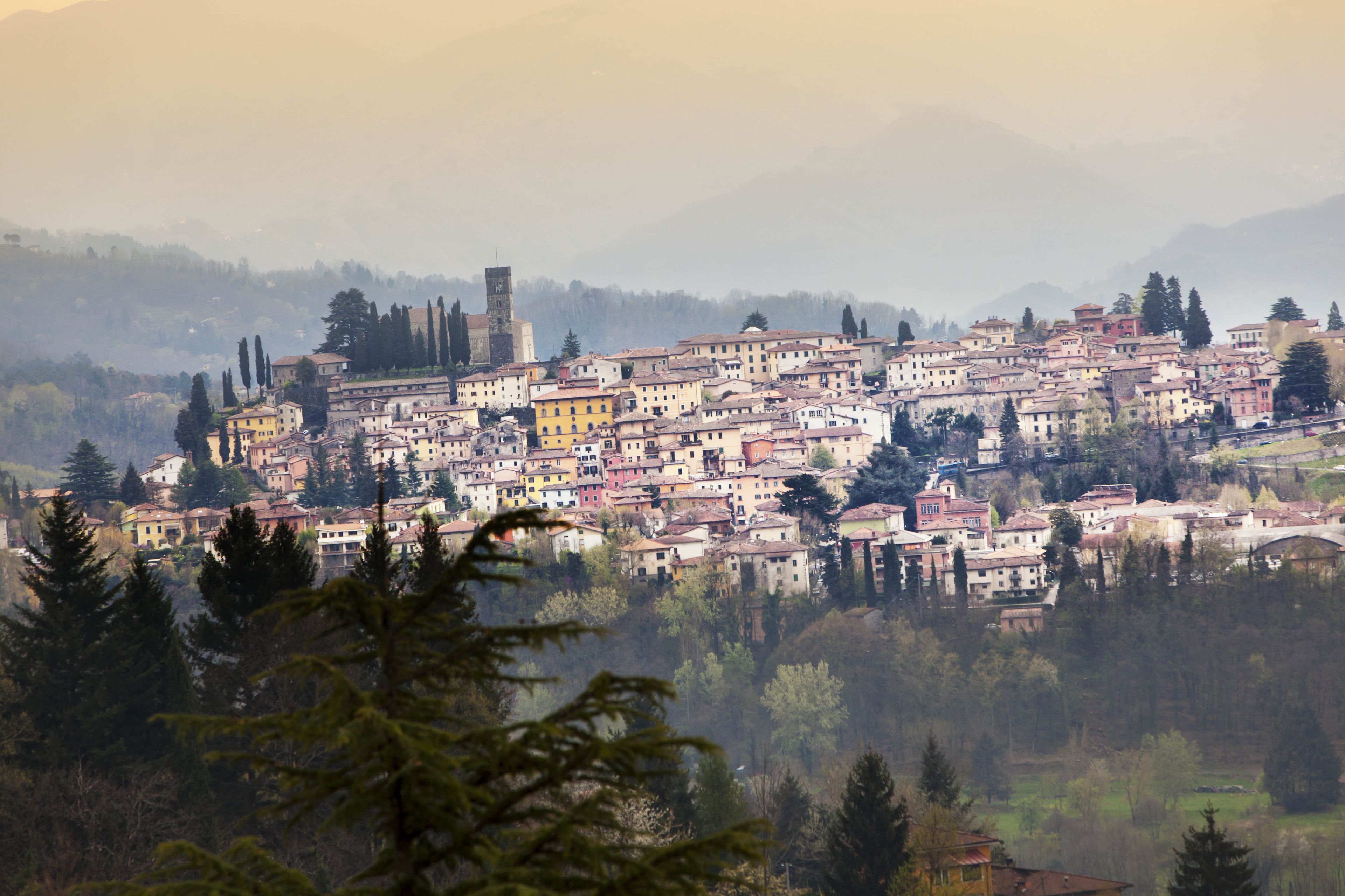 A hillside town with buildings clustered together, surrounded by trees and hills.