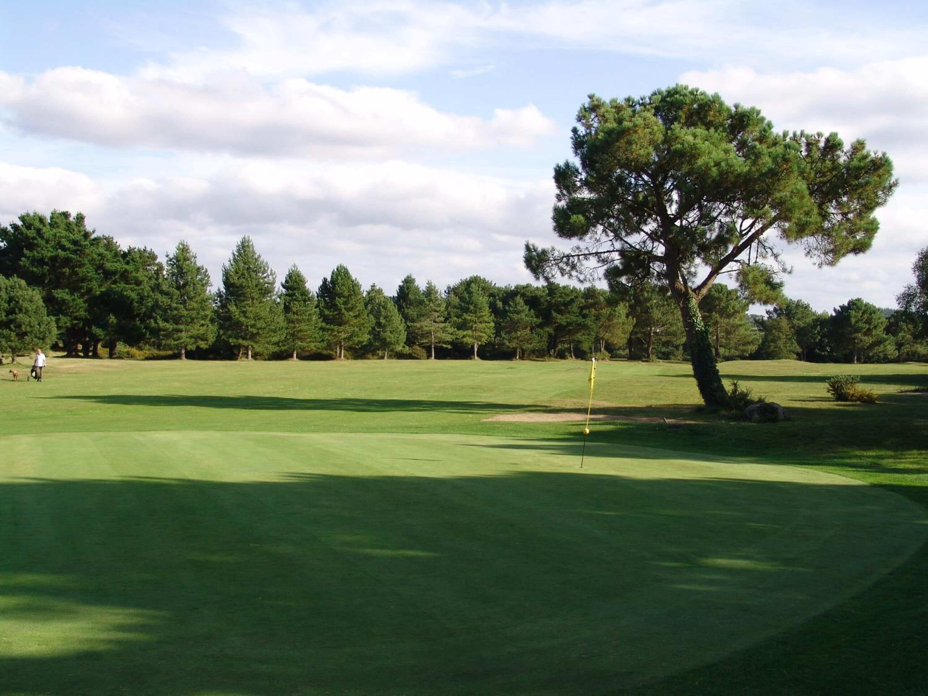 A golf course with a clear sky, a flagstick, and a well-maintained green.