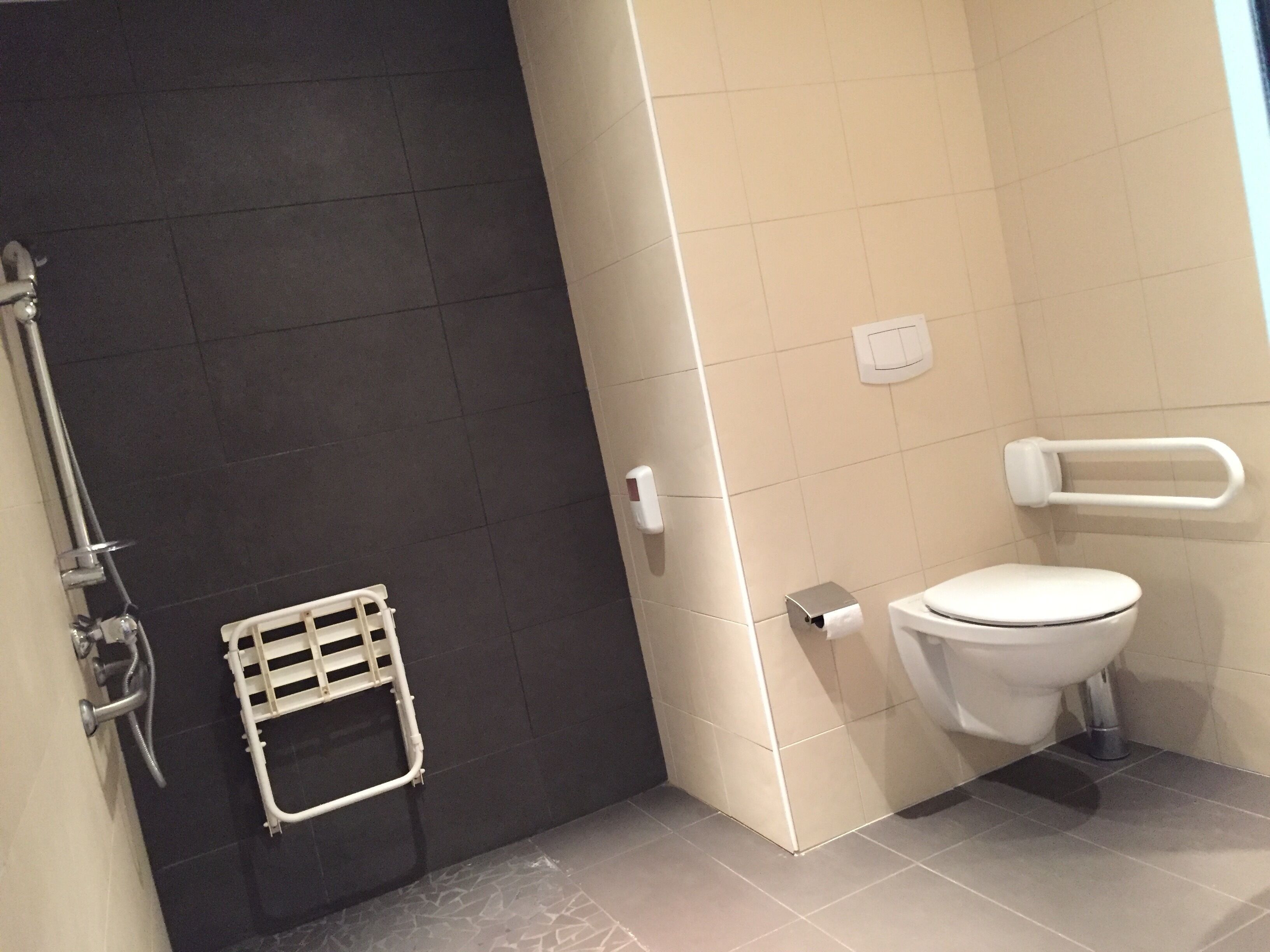 Une salle de bain équipée de toilettes, d’une barre d’appui, d’un porte-serviettes et d’un espace douche.