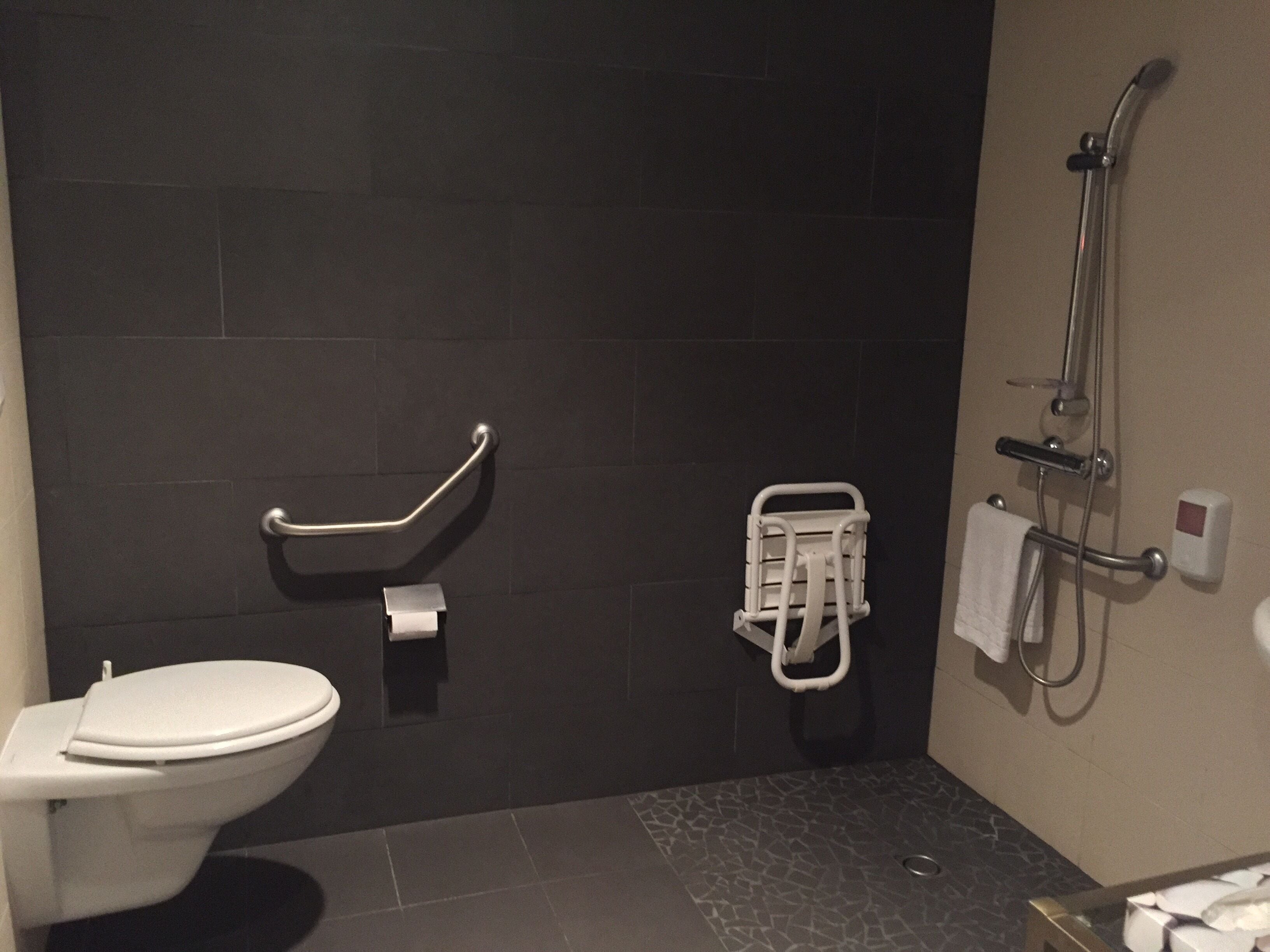 Un baño con inodoro, barra de apoyo, toallero y ducha.
