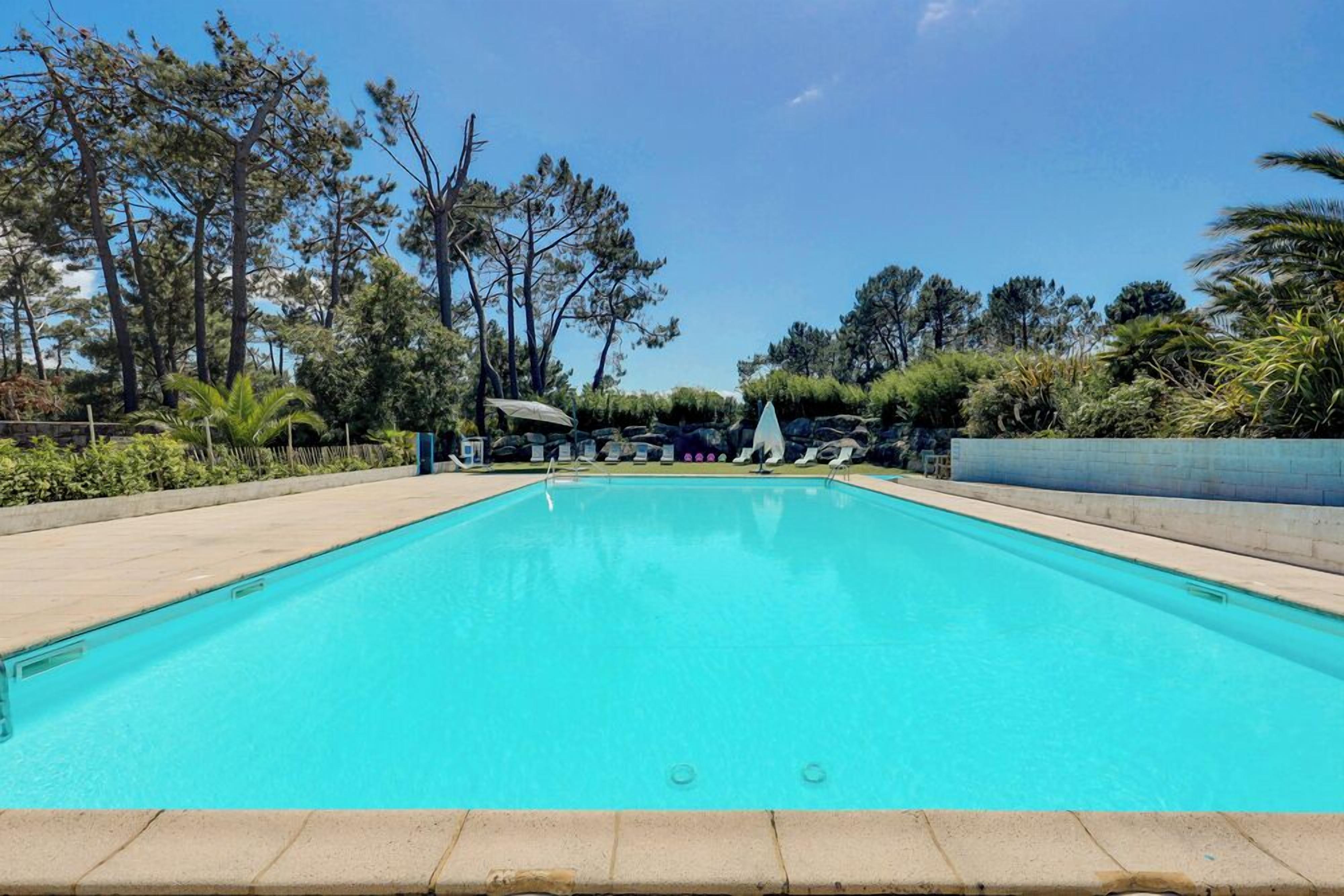 A rectangular swimming pool with clear blue water, surrounded by a concrete deck and various trees.