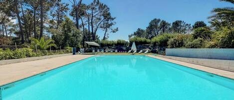 A rectangular swimming pool with clear blue water, surrounded by a concrete deck and various trees.