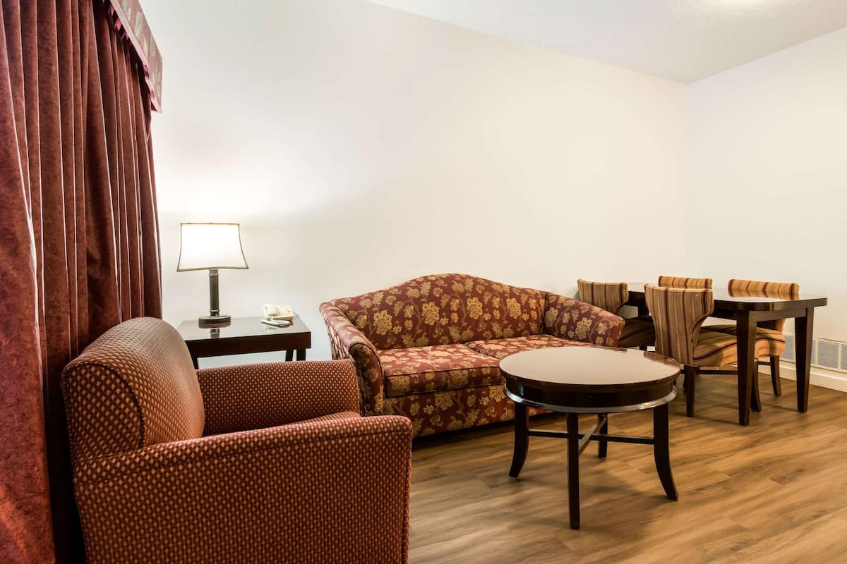 A living room with a sofa, armchair, dining table, and lamp.