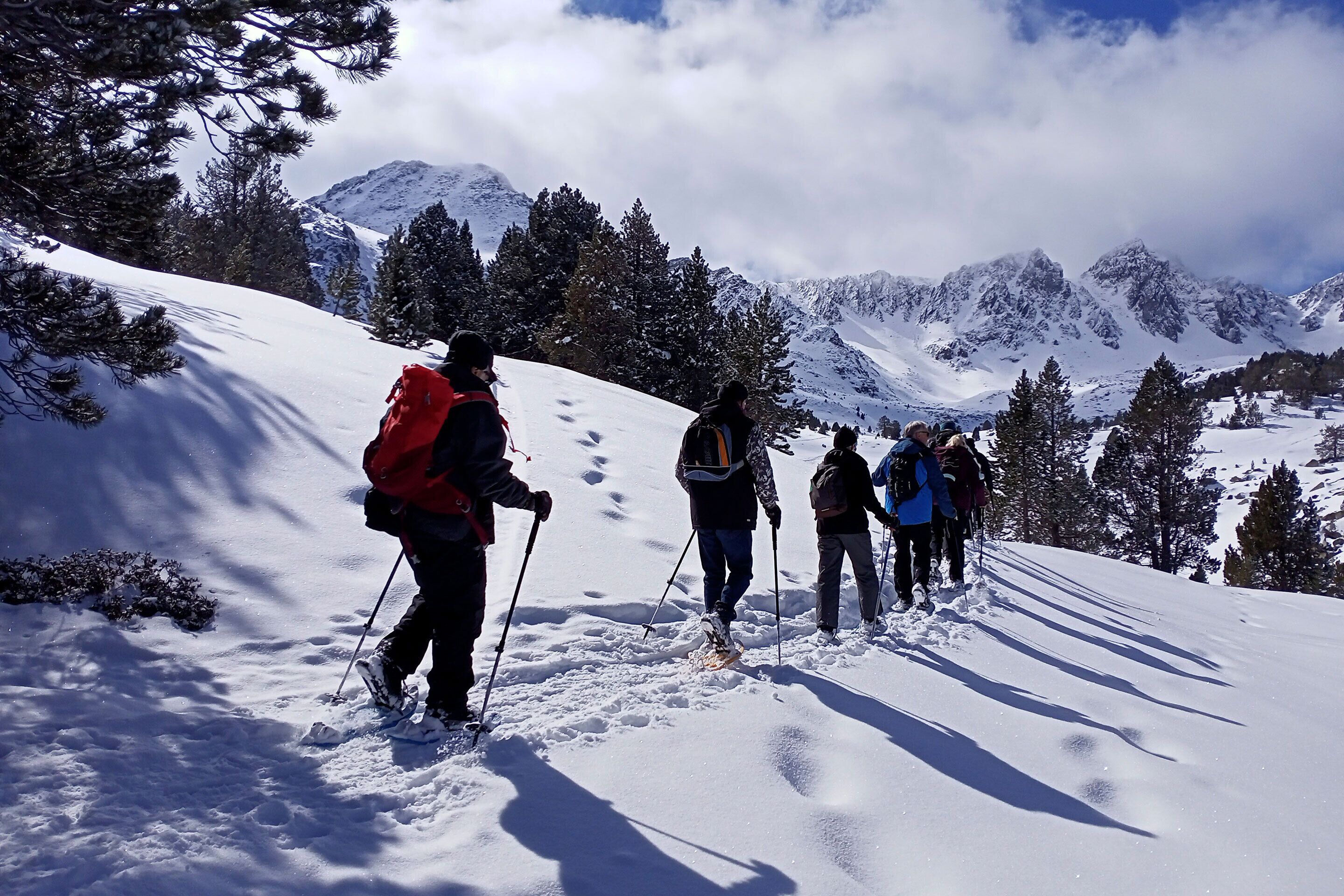 A group of people hiking on a snowy mountain trail with snow-covered trees and mountains in the background.