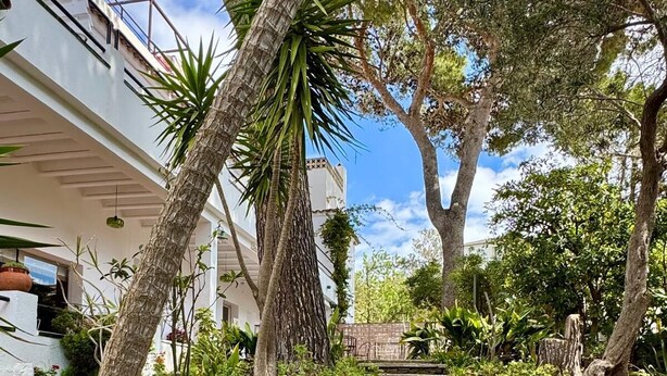 A garden with a stone staircase leading to a building with multiple floors. - Hotel Cadaques1962 (Cadaqués)