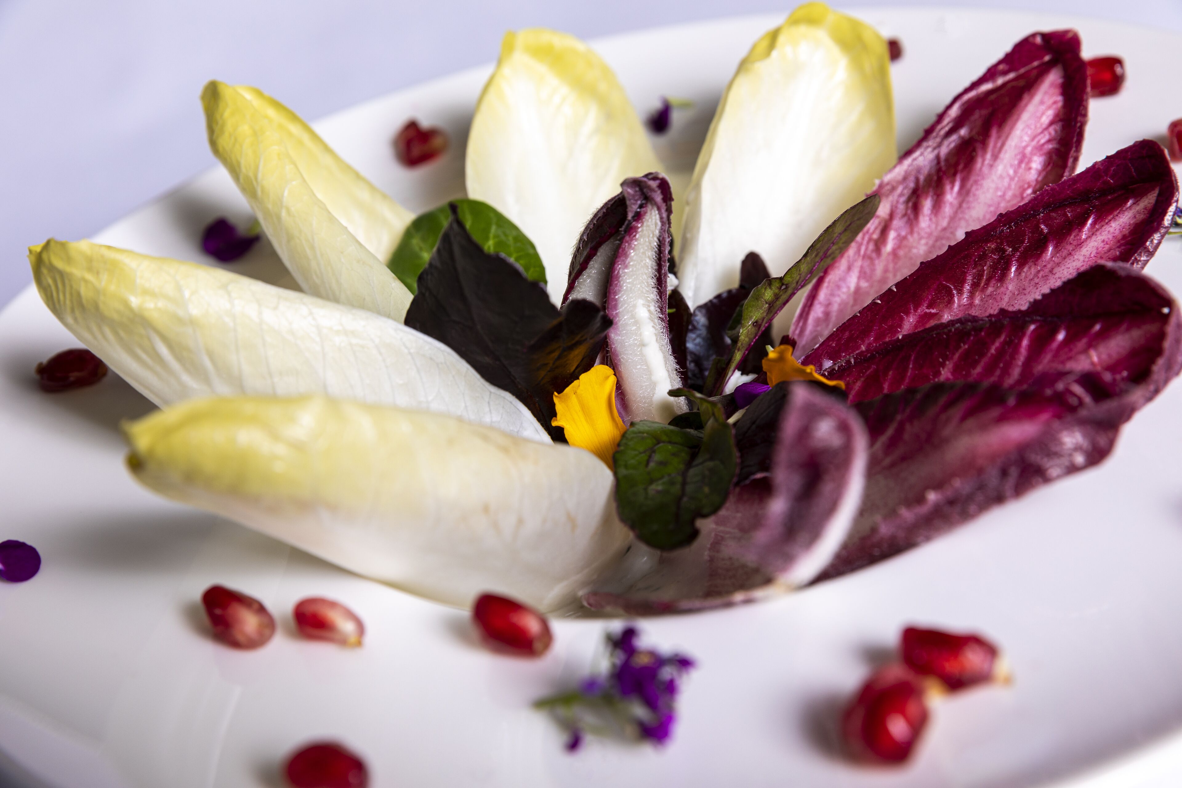 A white plate with a salad of mixed leaves and pomegranate seeds.
