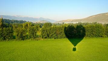 A green field with a heart-shaped object in the foreground.