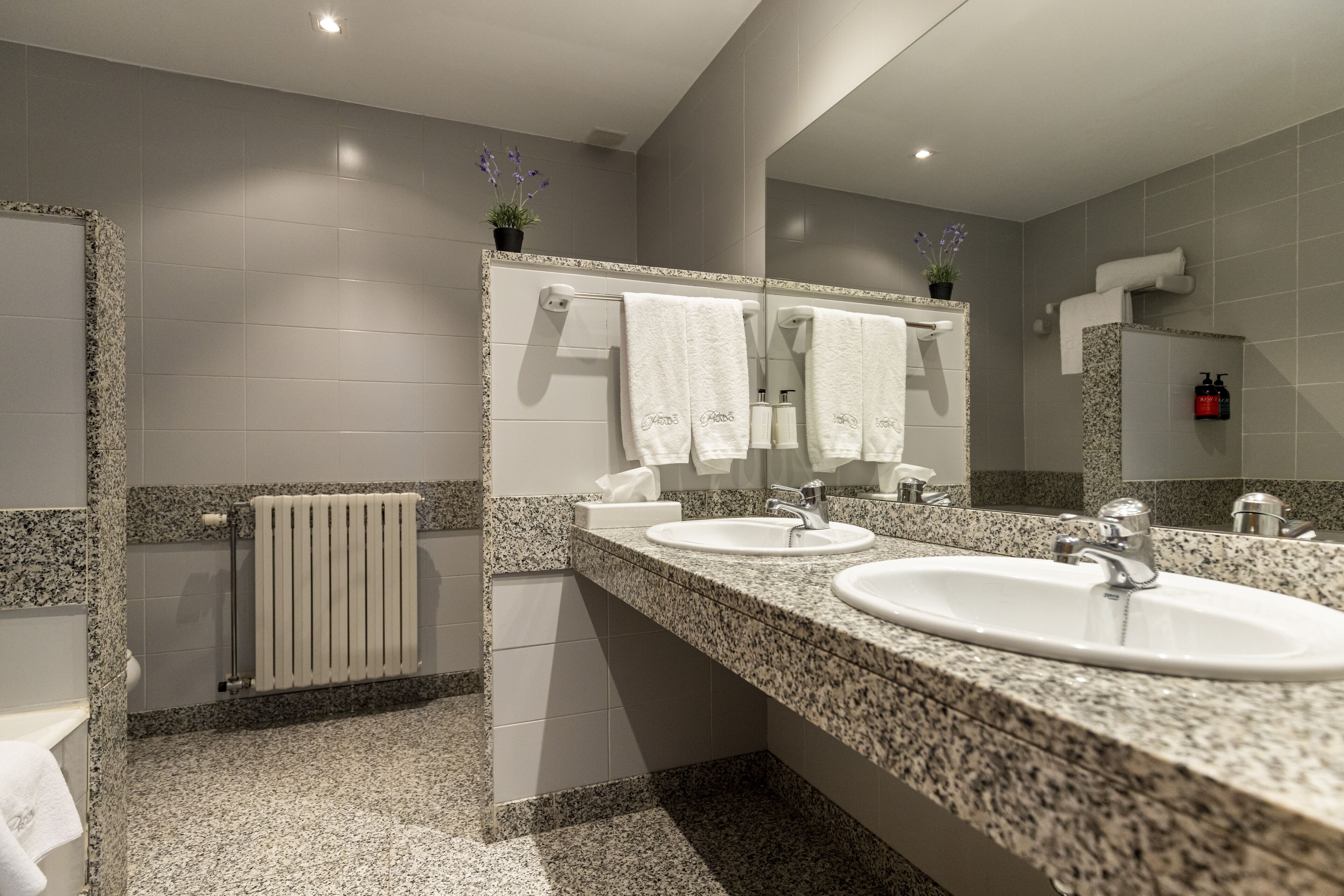 Photo - Hotel del Prado