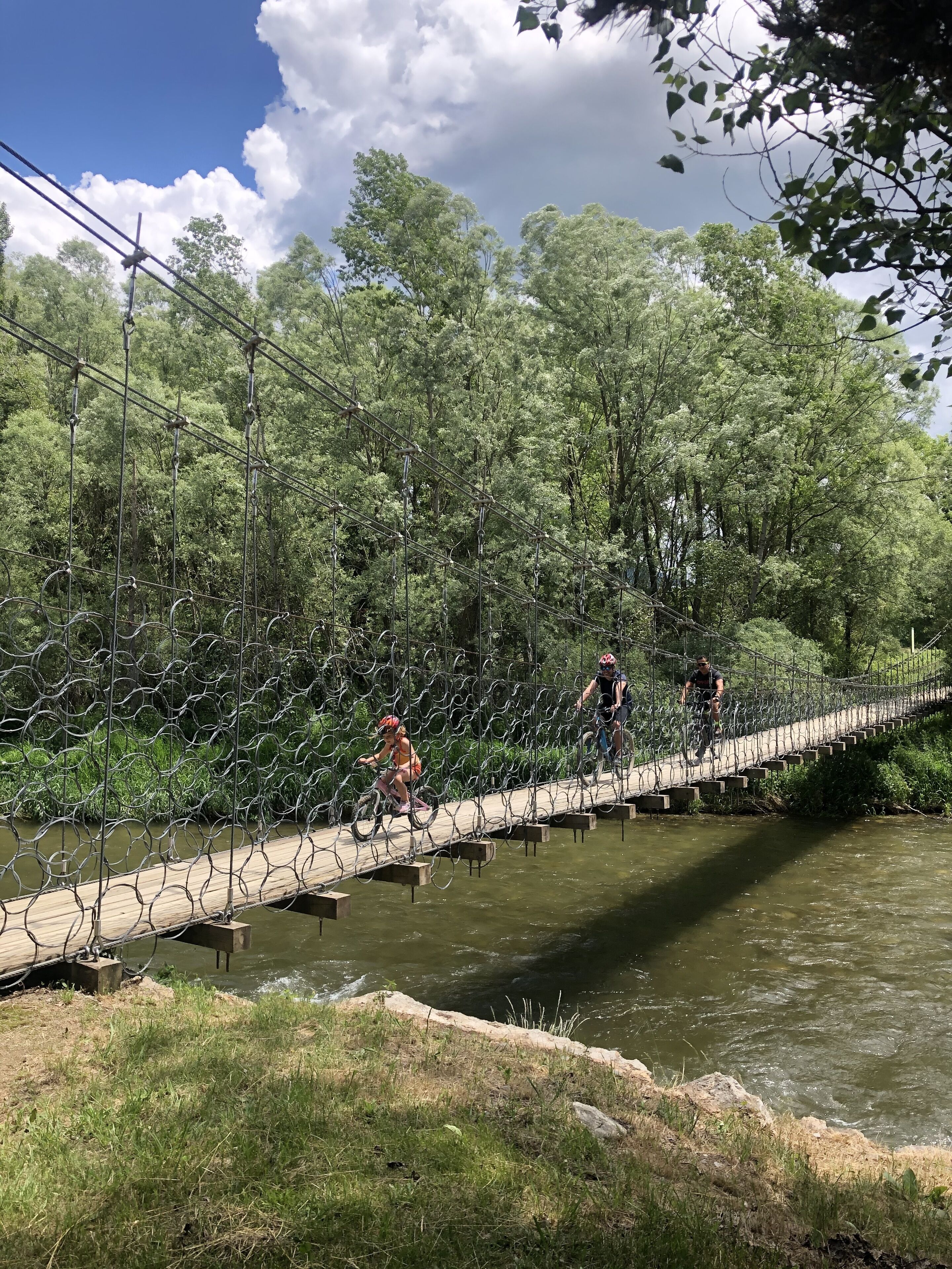 Un puente colgante sobre un río, con una cerca de metal, rodeado de árboles.