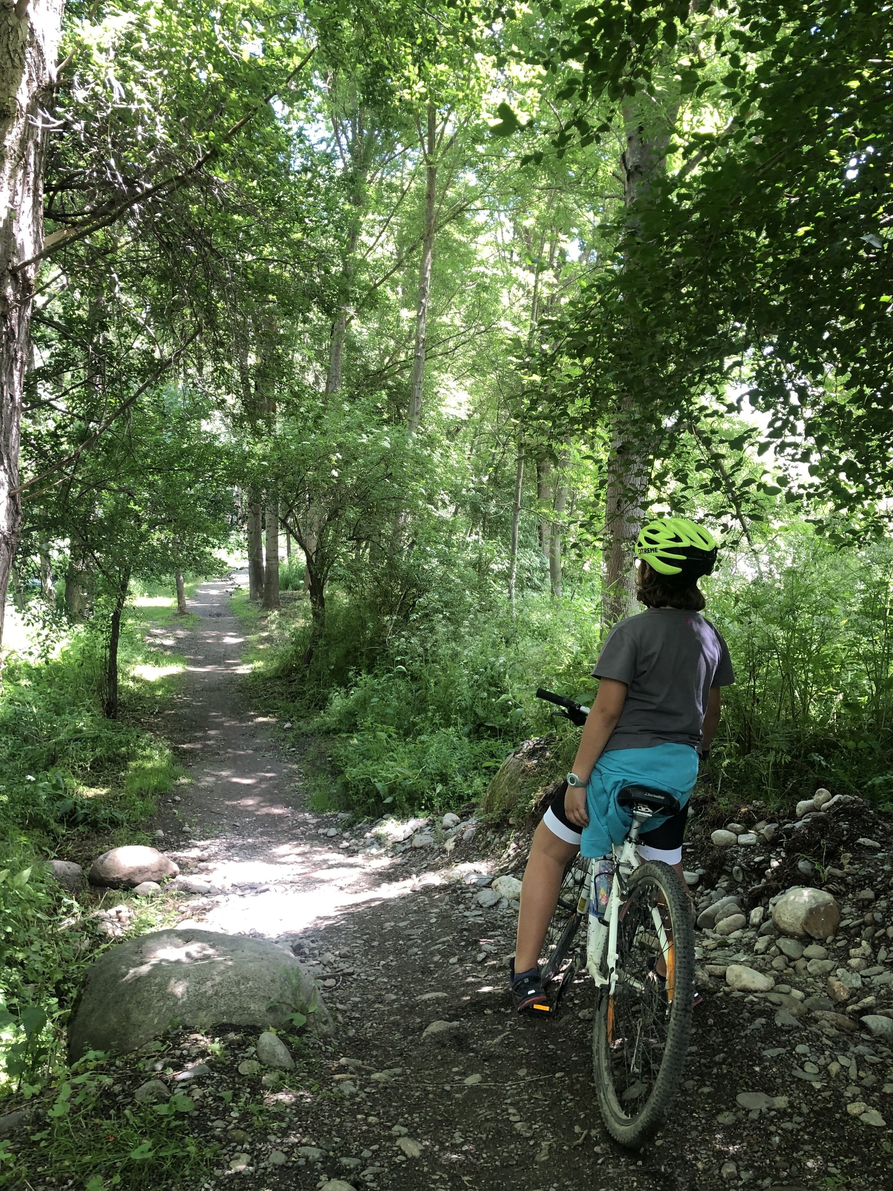 Una persona montando una bicicleta de montaña sobre un sendero de tierra rodeado de árboles.
