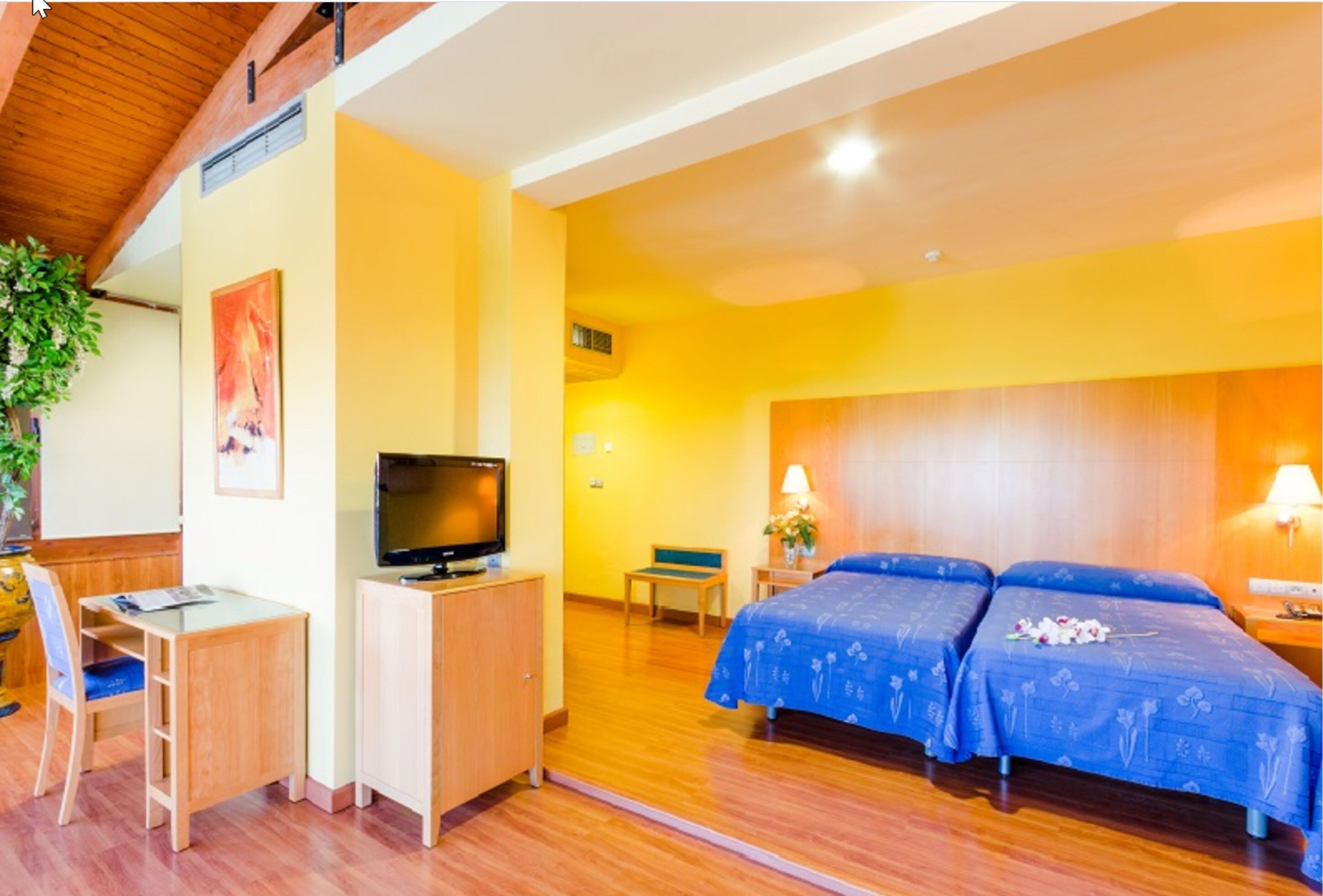 Ein Hotelzimmer mit Holzschreibtisch, Fernseher, Bett mit blauer Bettwäsche und einer Pflanze.