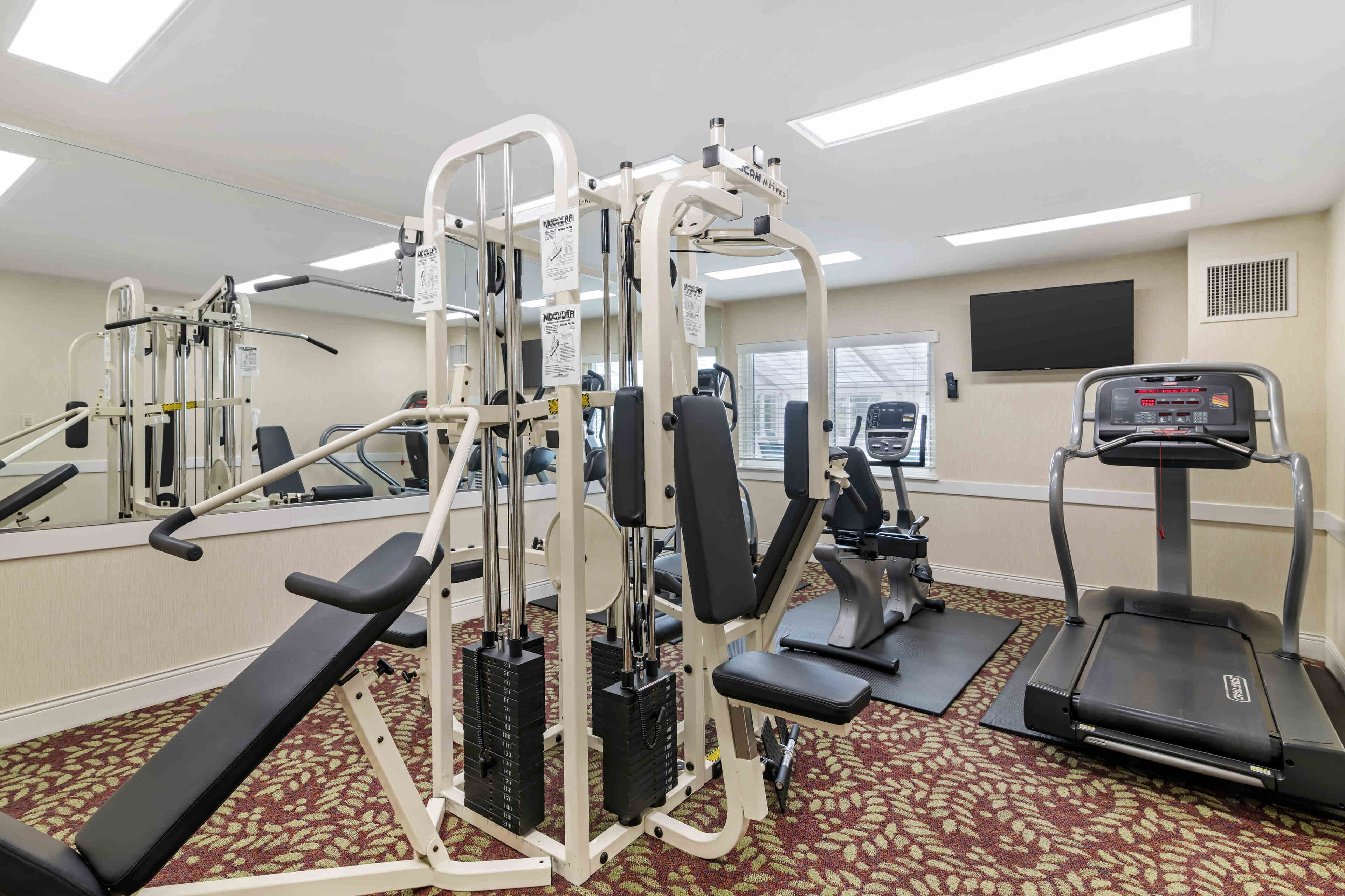A gym with various exercise equipment including a bench press, a cable machine, and a treadmill.