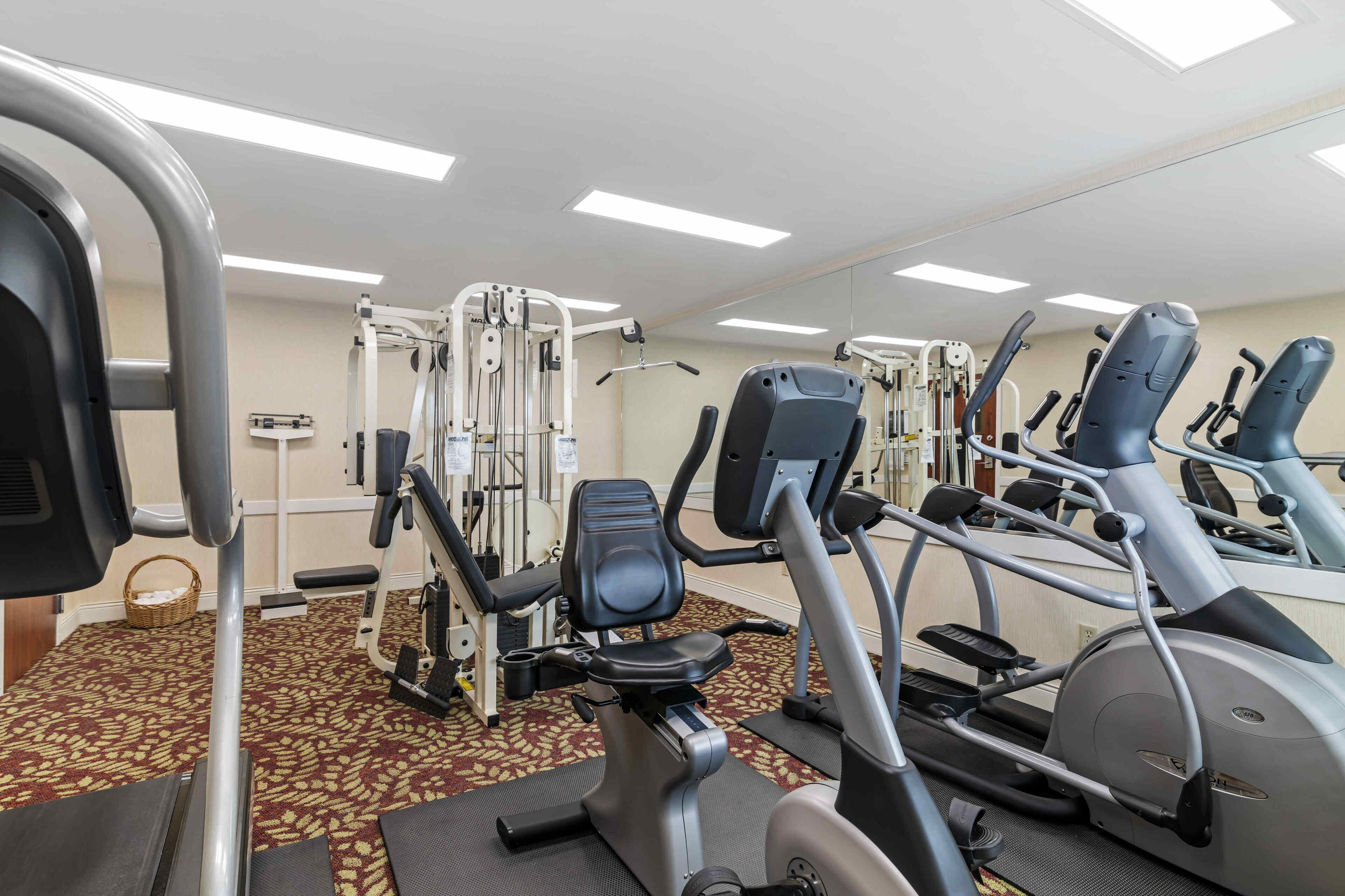 A gym with treadmills, elliptical machines, and weight machines.