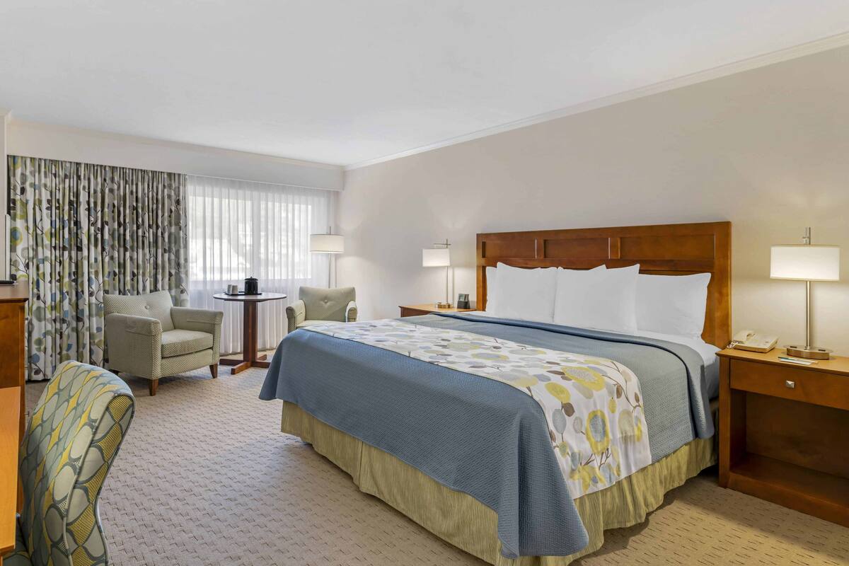 A hotel room with a large bed, two bedside tables, a chair, a small table, and a curtain with a leaf pattern.