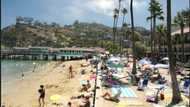 A beach with palm trees, umbrellas, and people sunbathing. - Glenmore Plaza Hotel (Avalon)