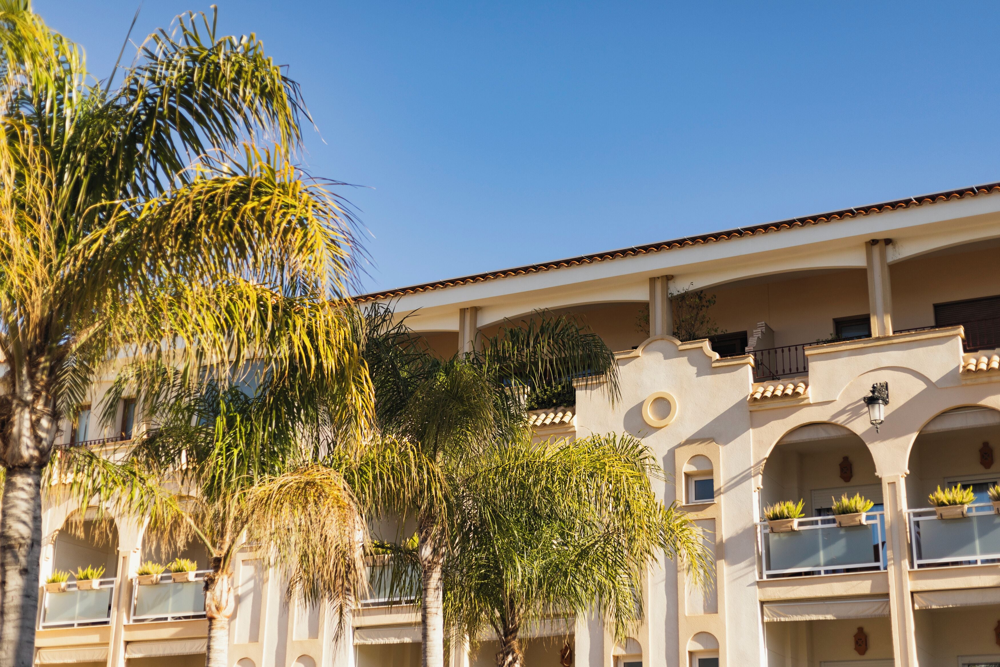 Photo - Hotel Los Ángeles Denia