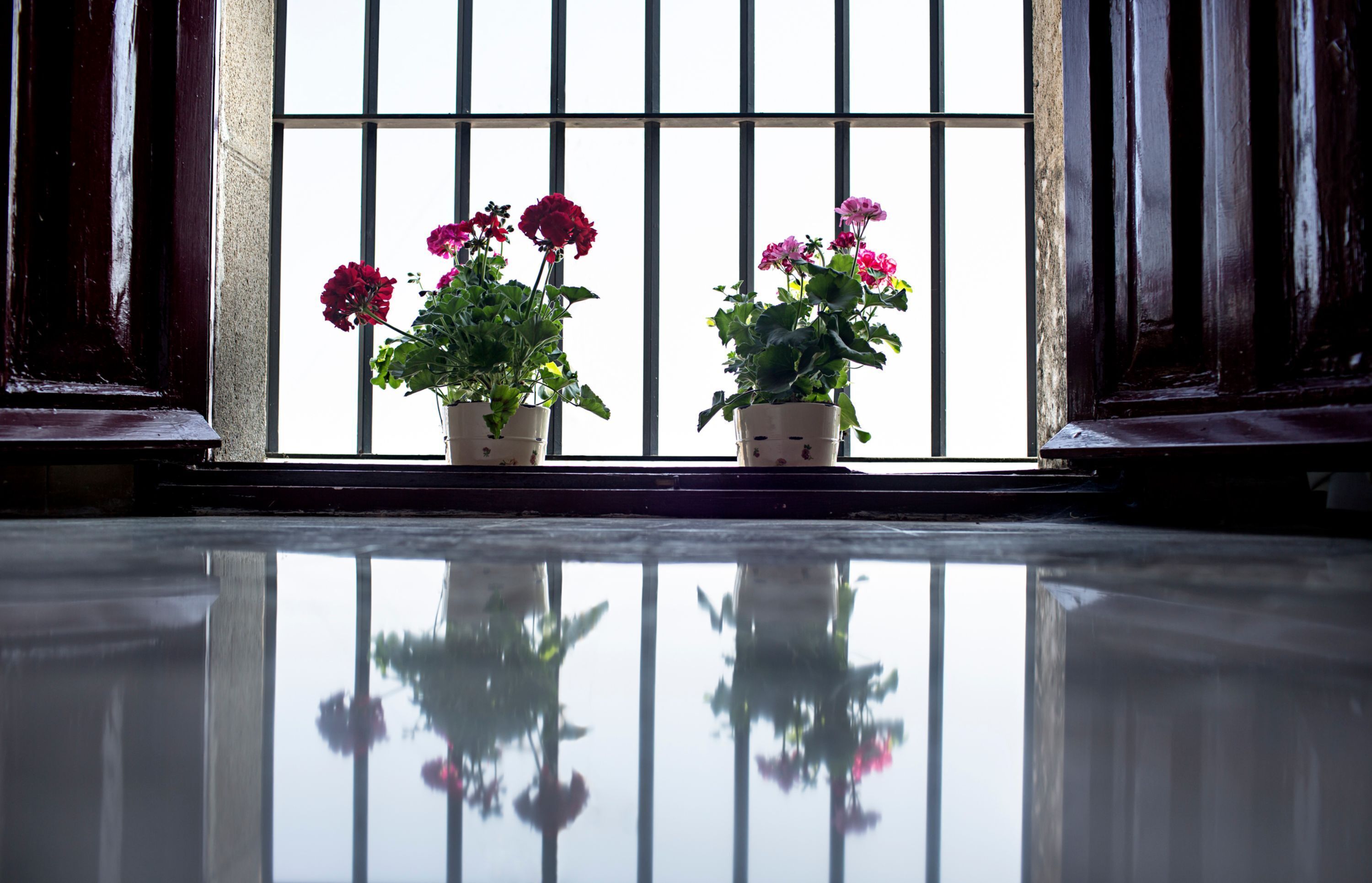 superior room | 1 bedroom, premium bedding, down duvets, minibar