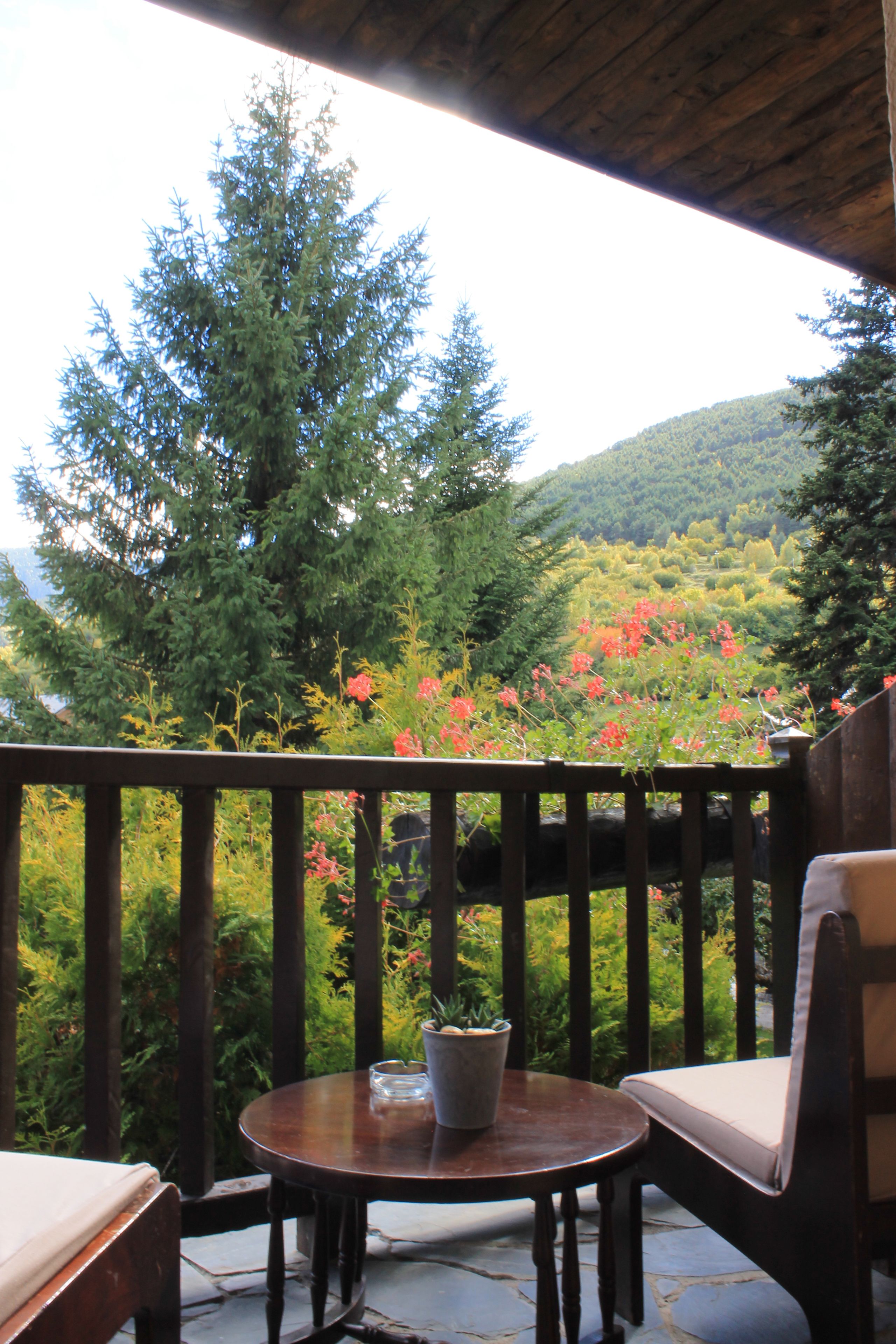 double room | mountain view