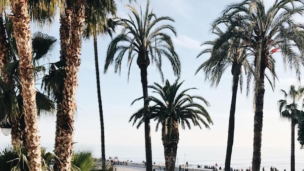 A beachside terrace with wicker chairs and a railing, overlooking a sandy beach with palm trees and people. - Hotel Celimar (Sitges)