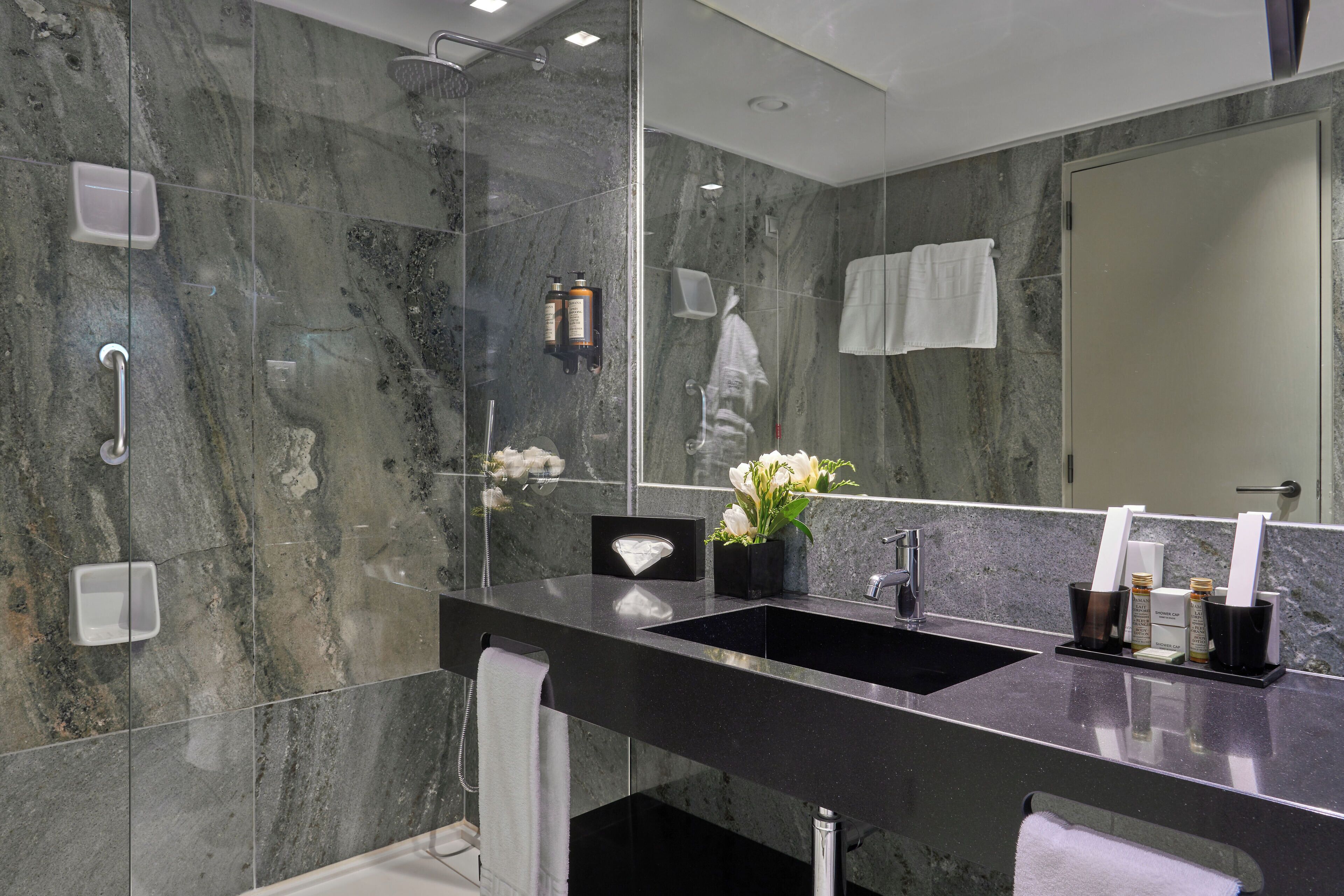 Regadera, amenidades de baño de diseñador, secadora de cabello, batas 