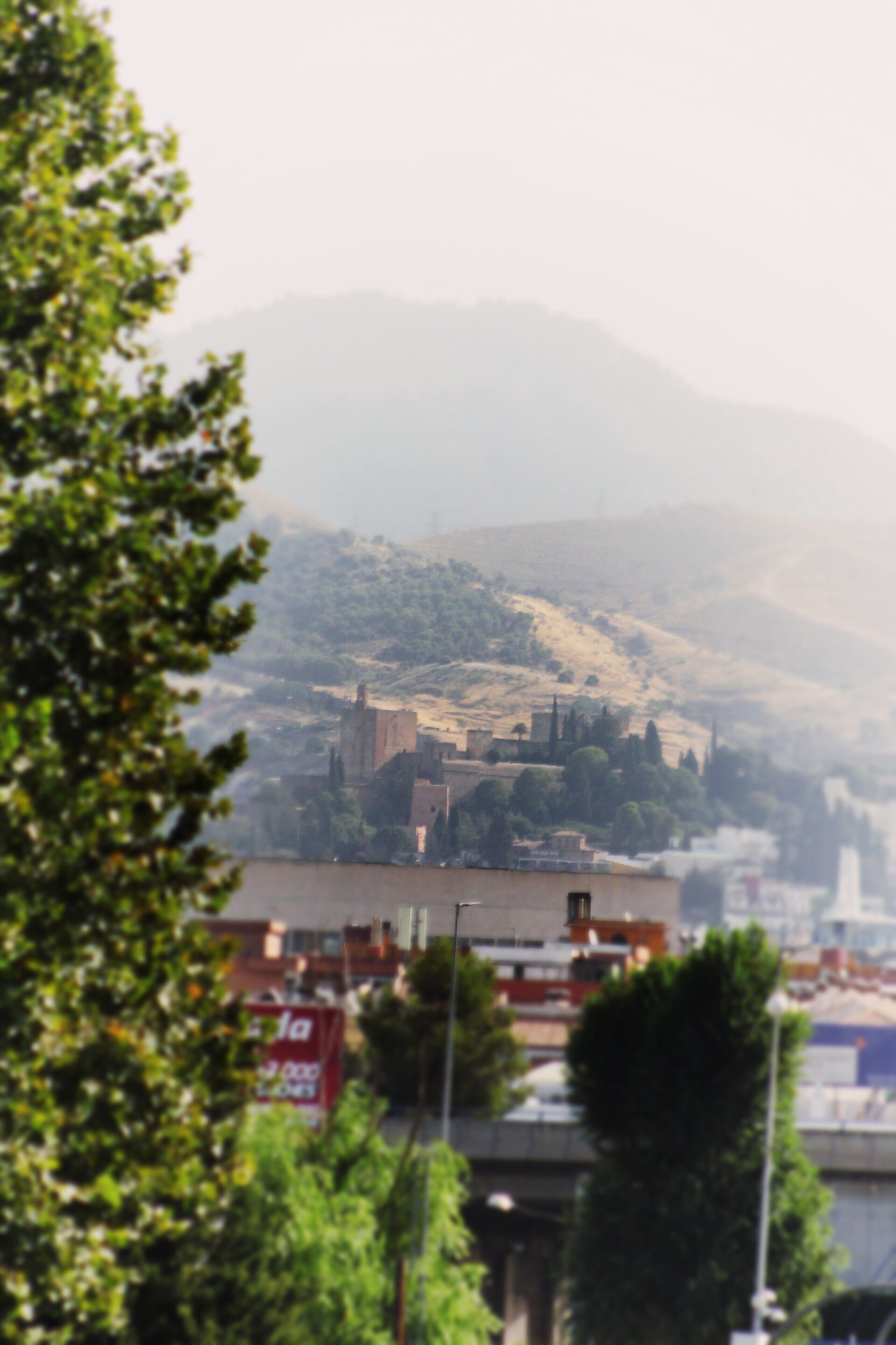 Photo - Los Galanes
