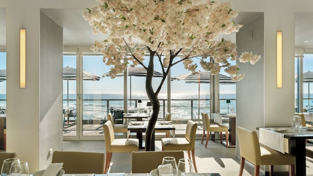 Een restaurant met een grote boom in het midden, gedekte tafels en uitzicht op de oceaan.