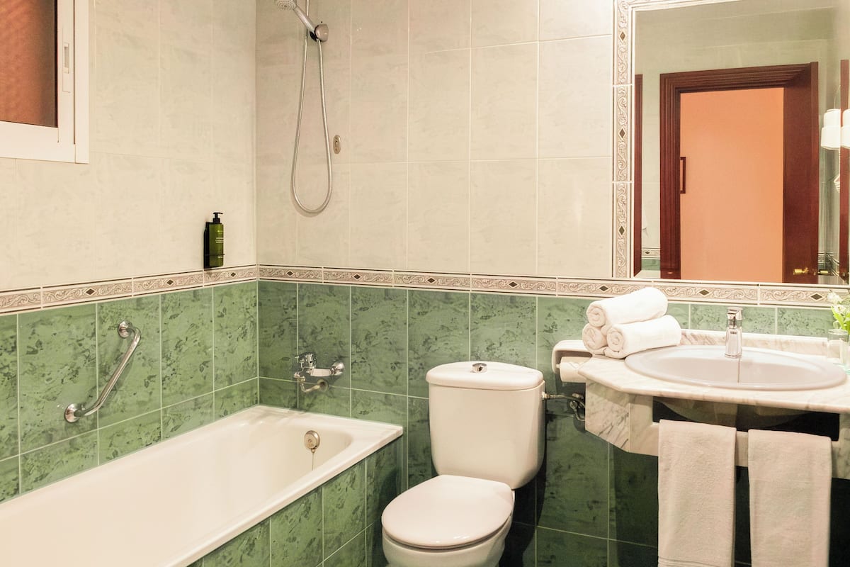 combined shower/bathtub, hair dryer, bidet, towels