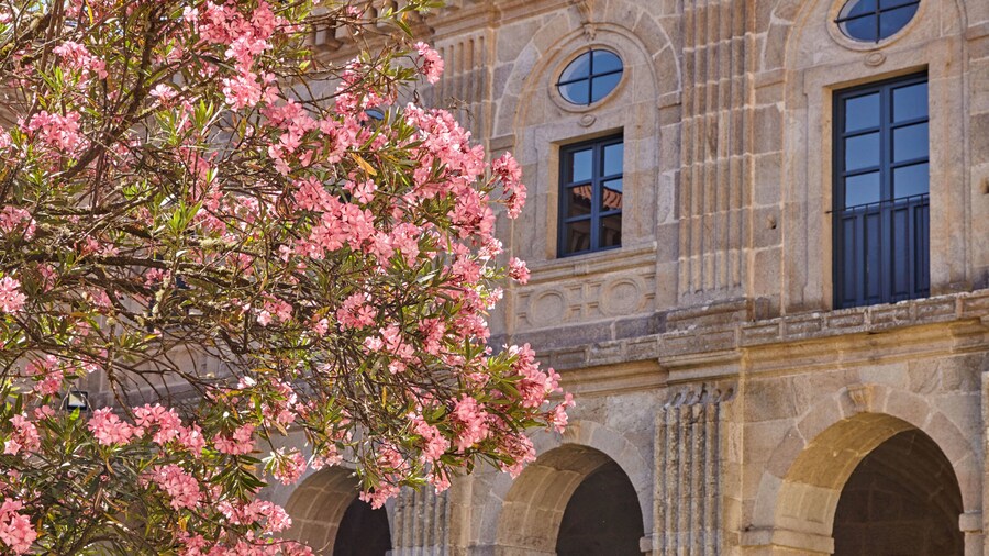 Eurostars Monumento Monasterio de San Clodio Hotel