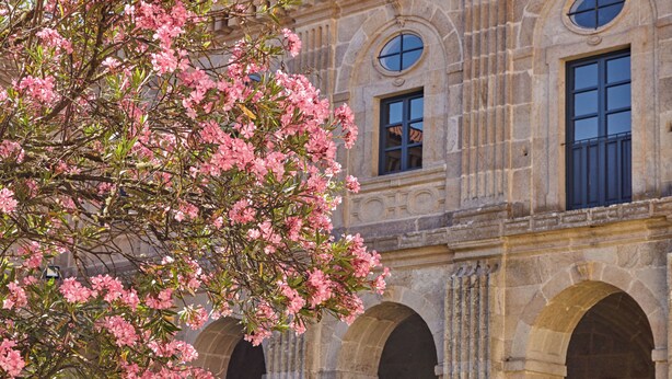 A building with arched windows and a tree with pink flowers in front. - Eurostars Monumento Monasterio de San Clodio Hotel (Leiro)