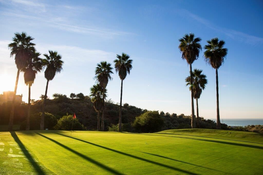 Un campo de golf con cielo despejado, palmeras y una vista distante del océano.