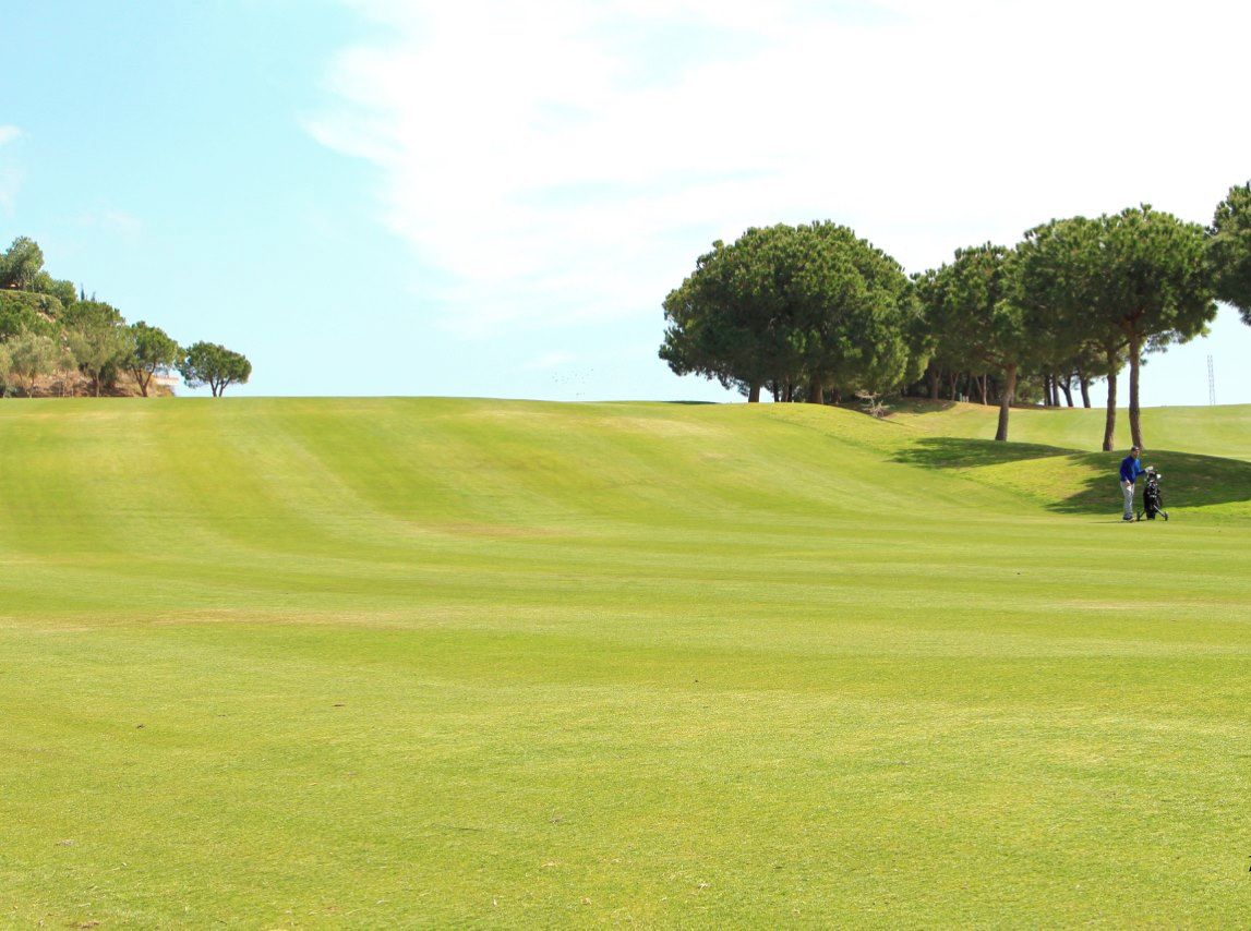 Un campo de golf con un césped impecable, árboles y cielo despejado.