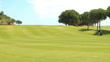 Un campo de golf con un césped impecable, árboles y cielo despejado.