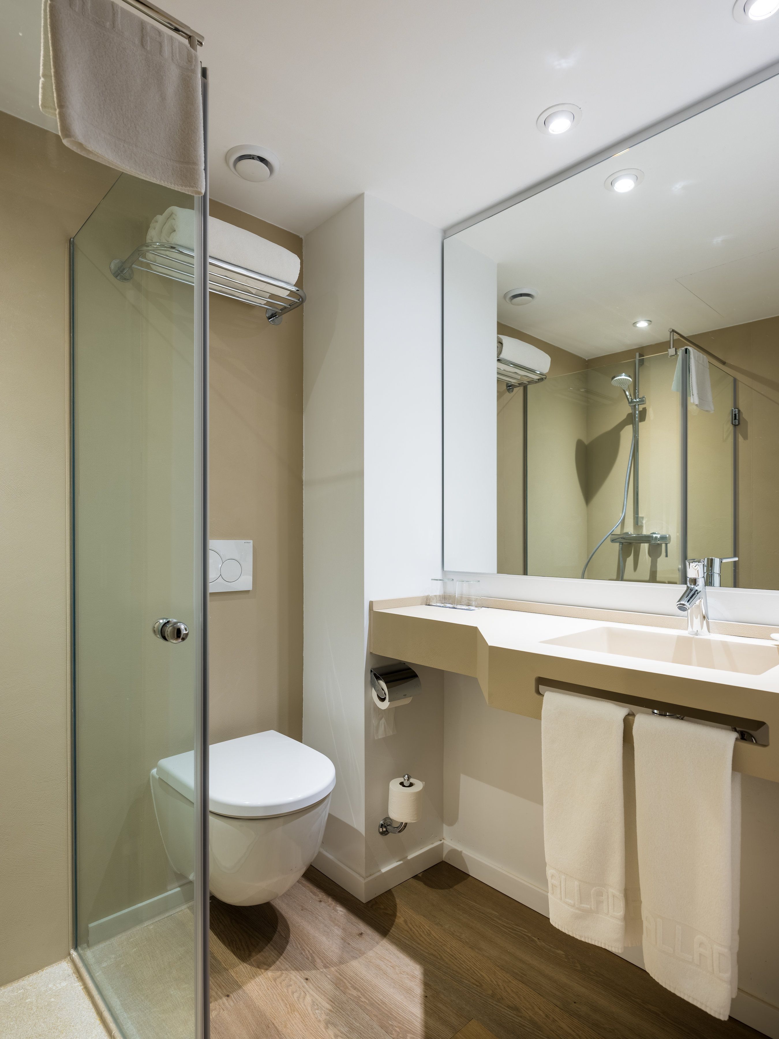 A modern bathroom with a glass shower enclosure, a toilet, a sink with a towel rack, and a large mirror.