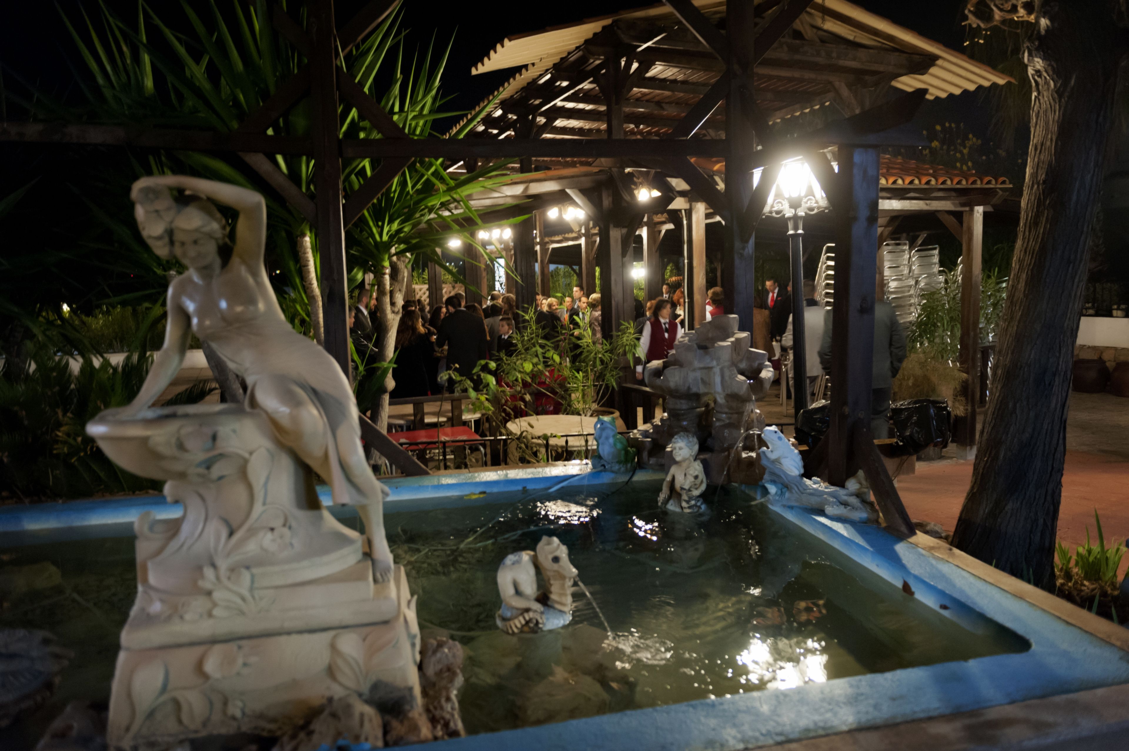 テラス / パティオ