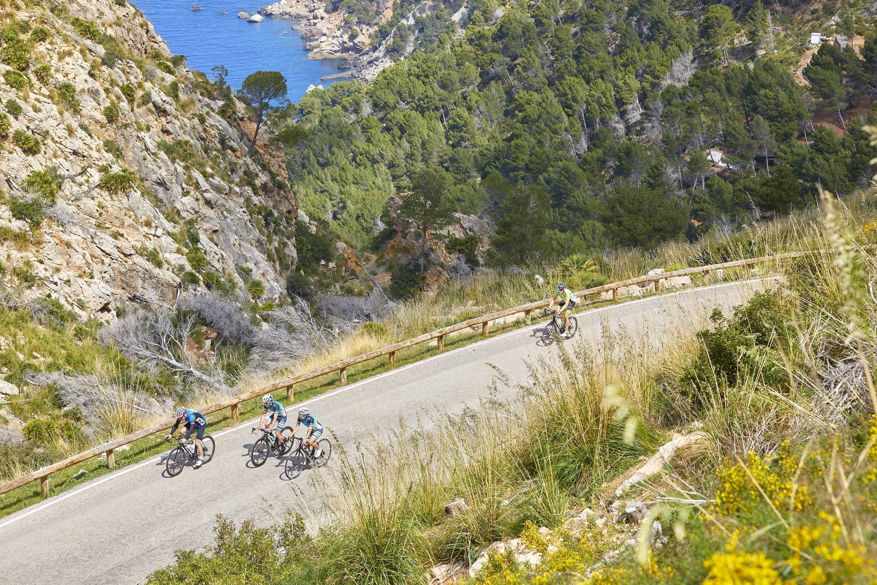 superior room (cycling friendly) | sports facility