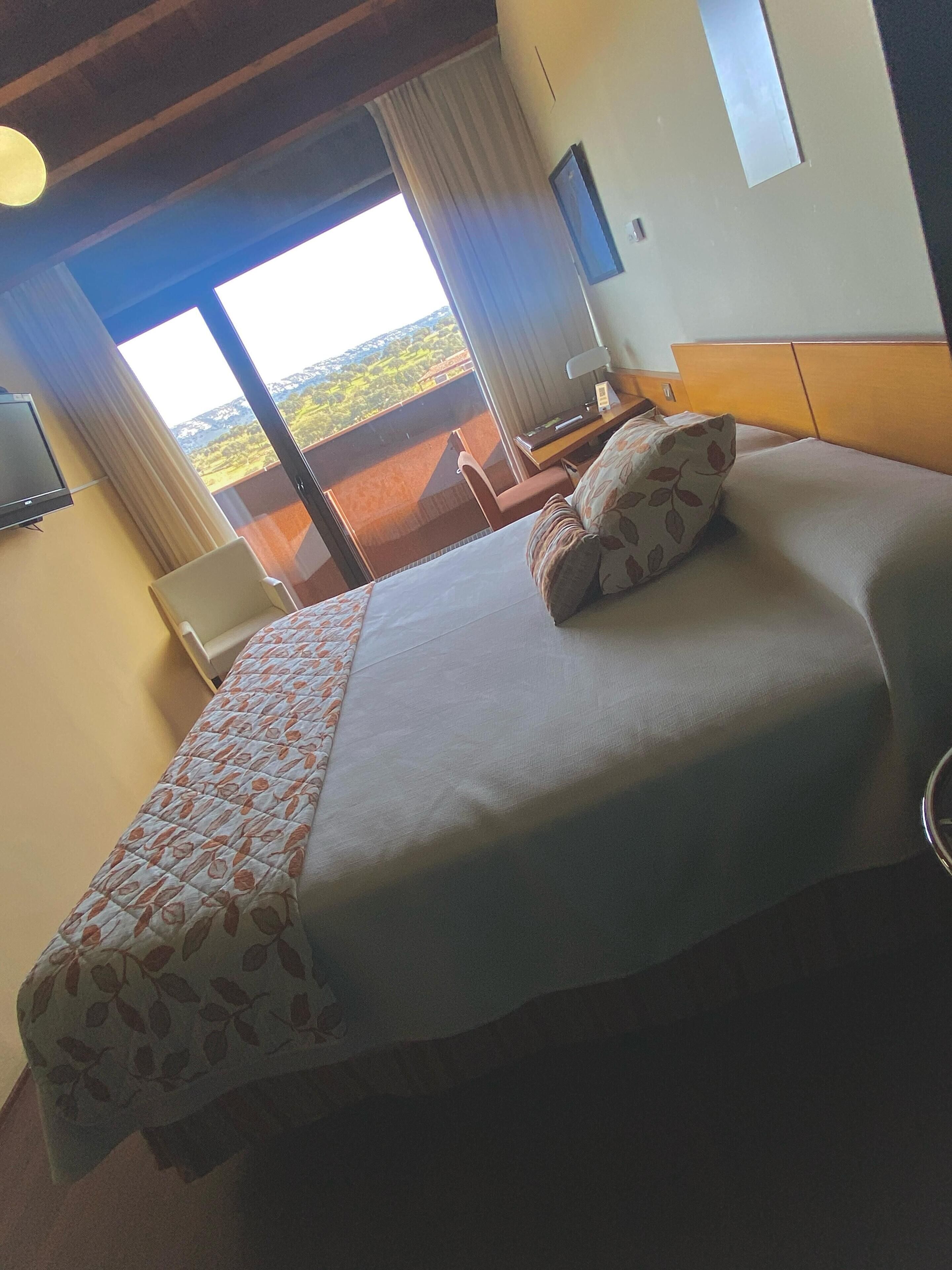 A hotel room with a large bed, a desk, a chair, a TV, and a view of the outdoors.