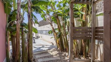 Un sentier qui traverse un jardin où l’on trouve des bananiers et une structure en forme de pergola en bois.