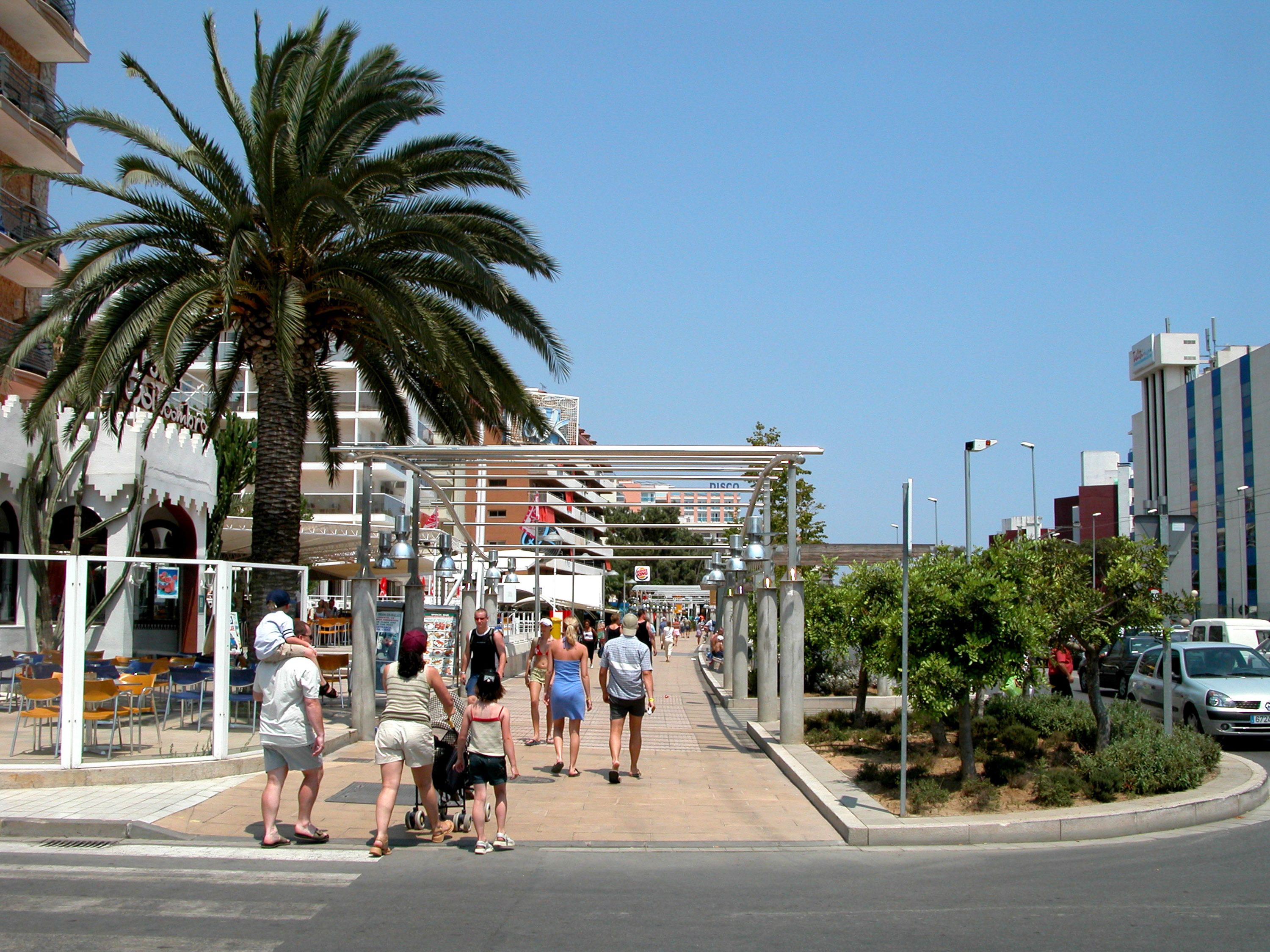 A pedestrian walkway lined with palm trees and a covered area with seating.