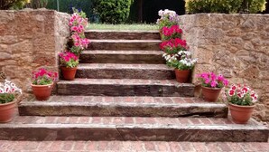 Um conjunto de degraus de pedra com vasos de terracota com flores rosa e brancas.