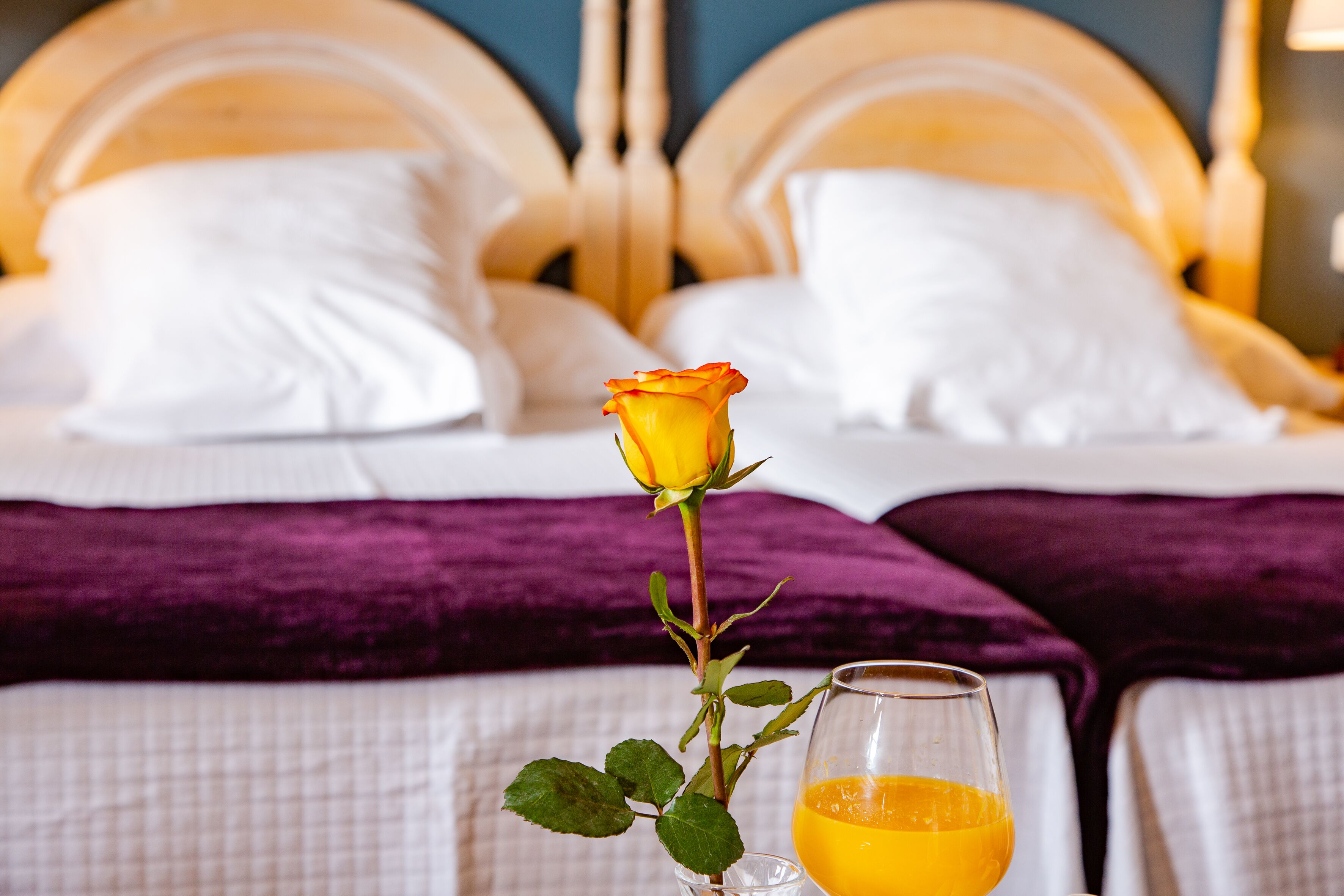 Foto - Hotel Palacio De La Viñona