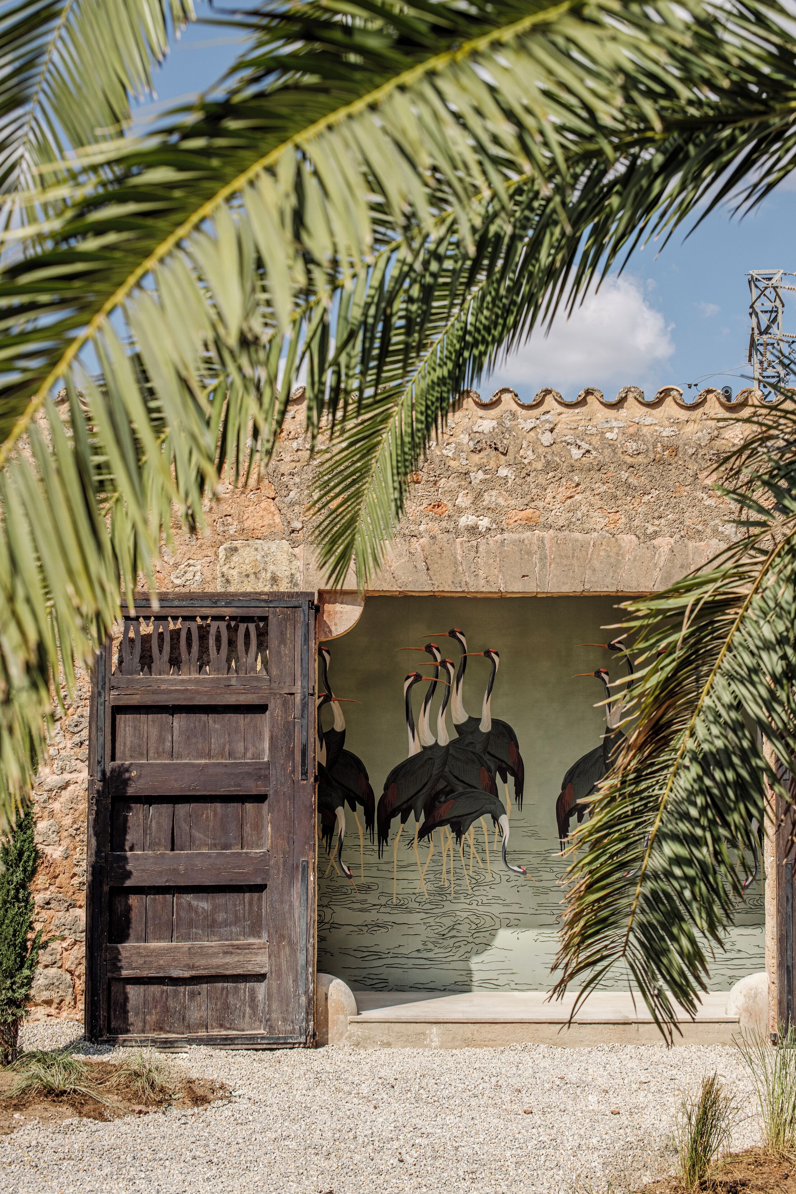 A rustic building with a wooden door and a water feature with birds.