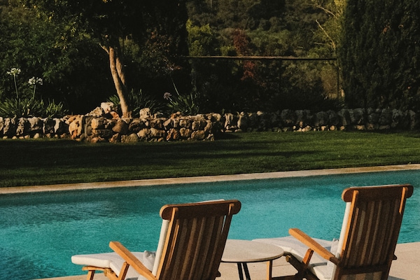 Seasonal outdoor pool, pool umbrellas, sun loungers