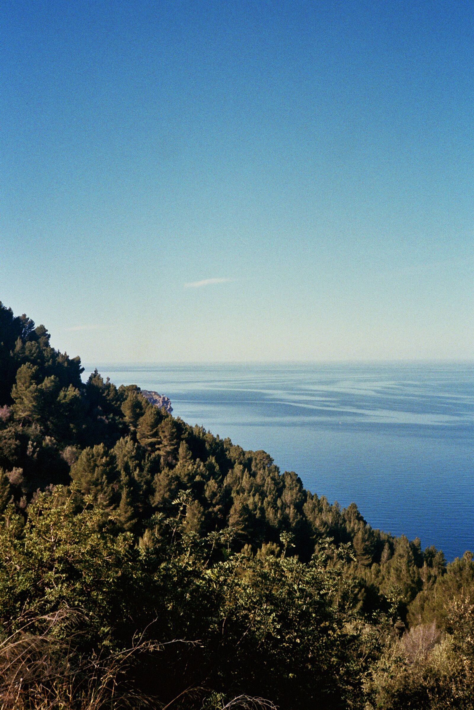 Foto - Hotel Son Xotano Mallorca by Annua Signature