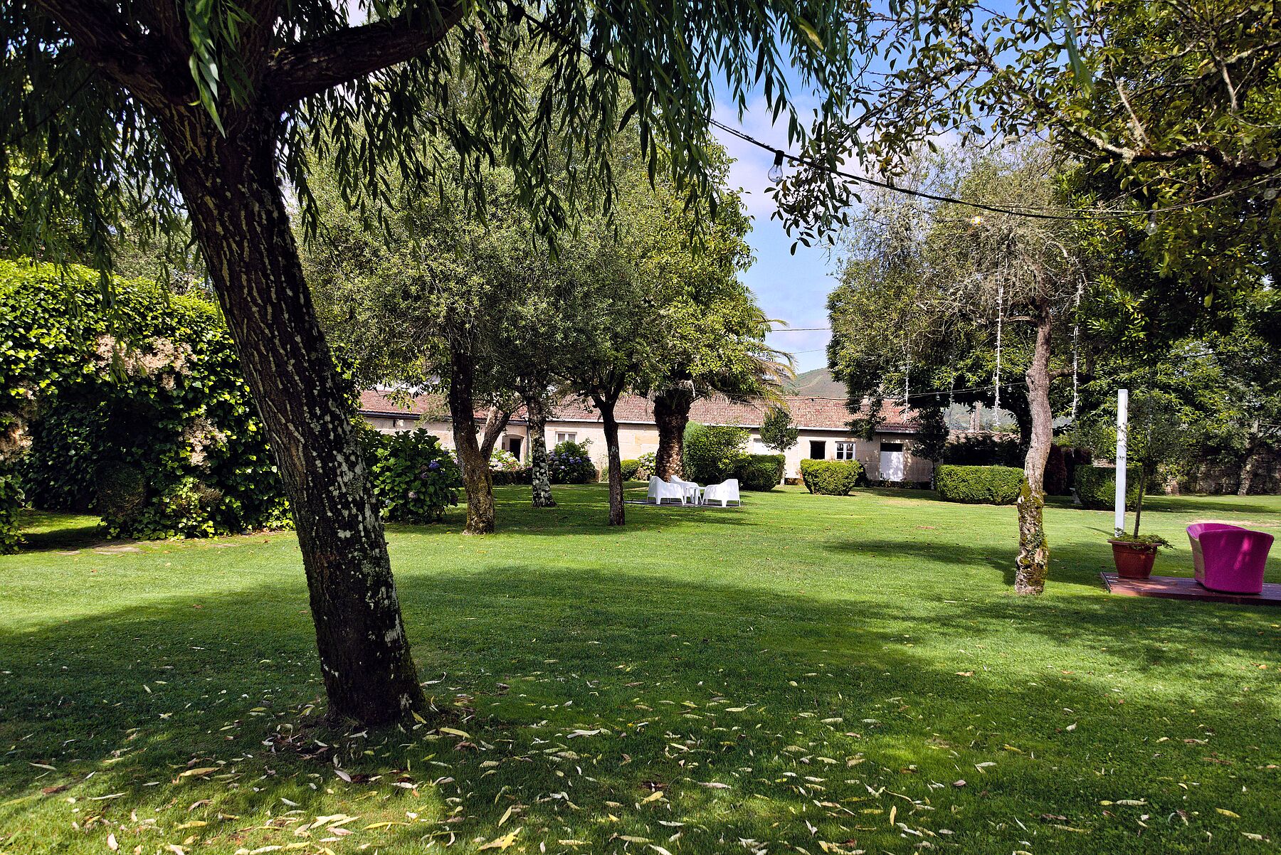 A well-maintained garden with a lawn, trees, and a building in the background.