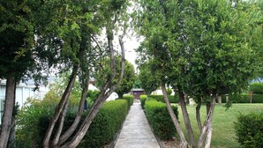 Un chemin de pierre bordé d’arbres et de haies, menant à un bâtiment à la façade blanche.