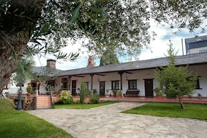 Un patio empedrado con porche cubierto, plantas en macetas y un árbol pequeño.