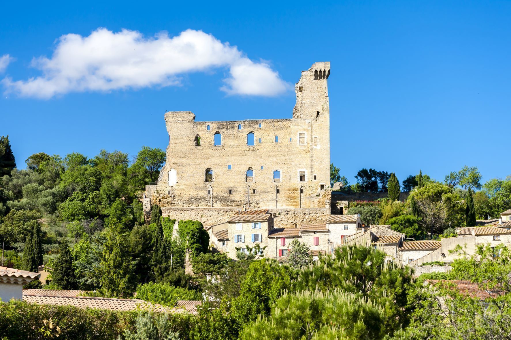A historic stone castle with multiple windows and a tower, surrounded by lush greenery and traditional buildings.