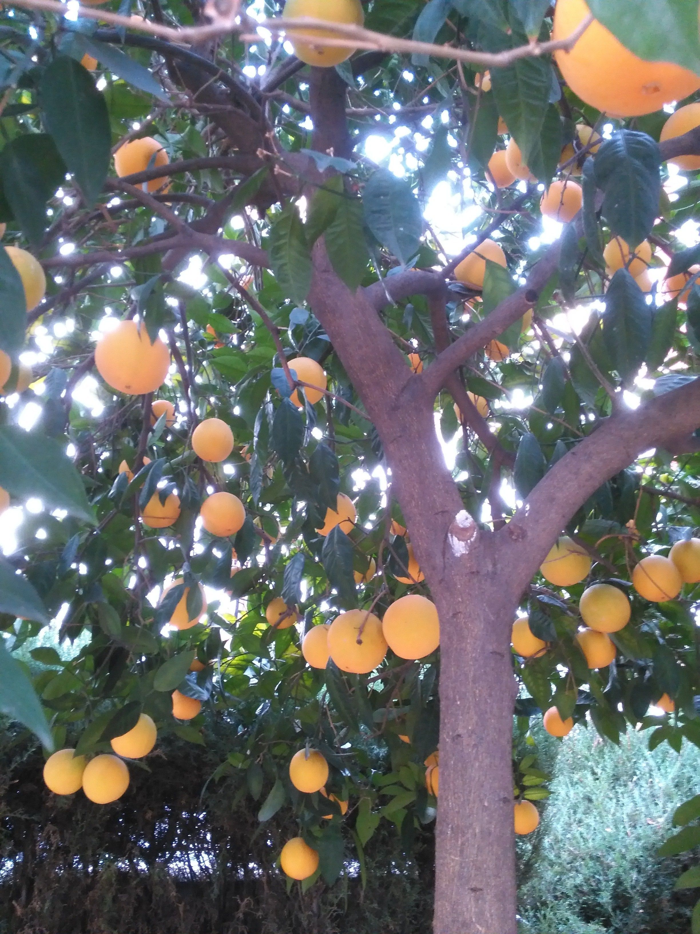 Foto - Hotel Boutique Puerta del Rincón